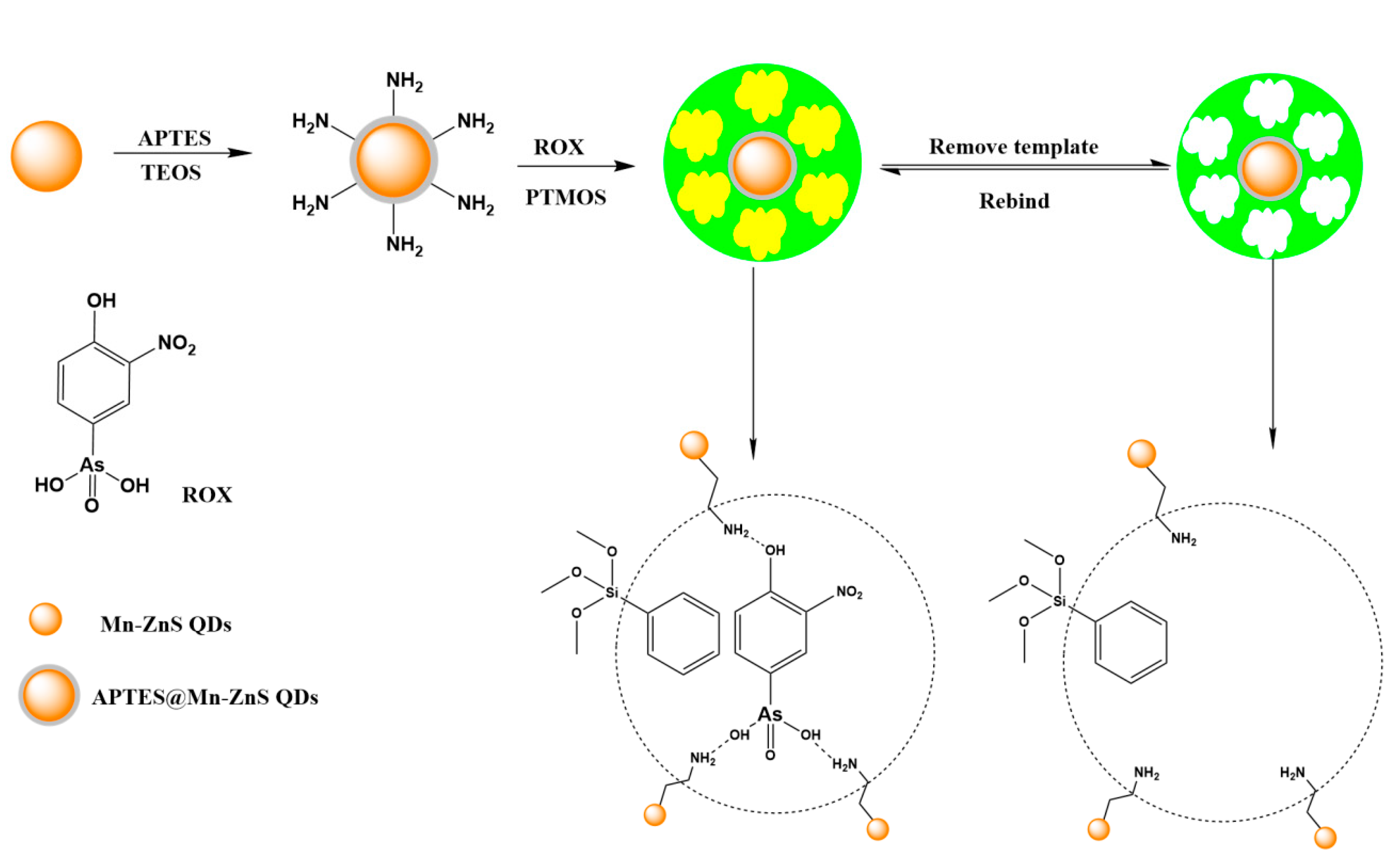 Nanomaterials 12 02997 g001