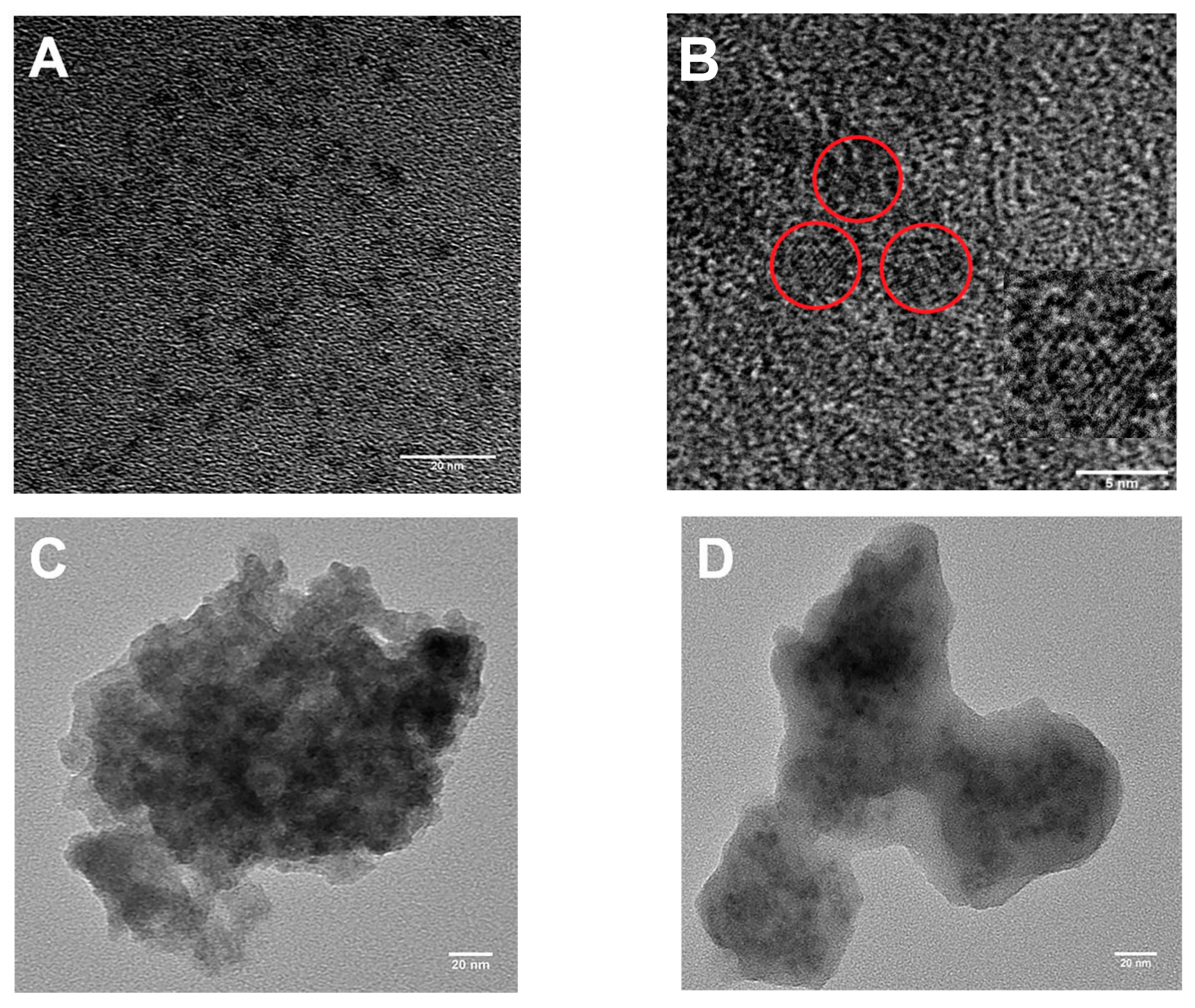Nanomaterials 12 02997 g003