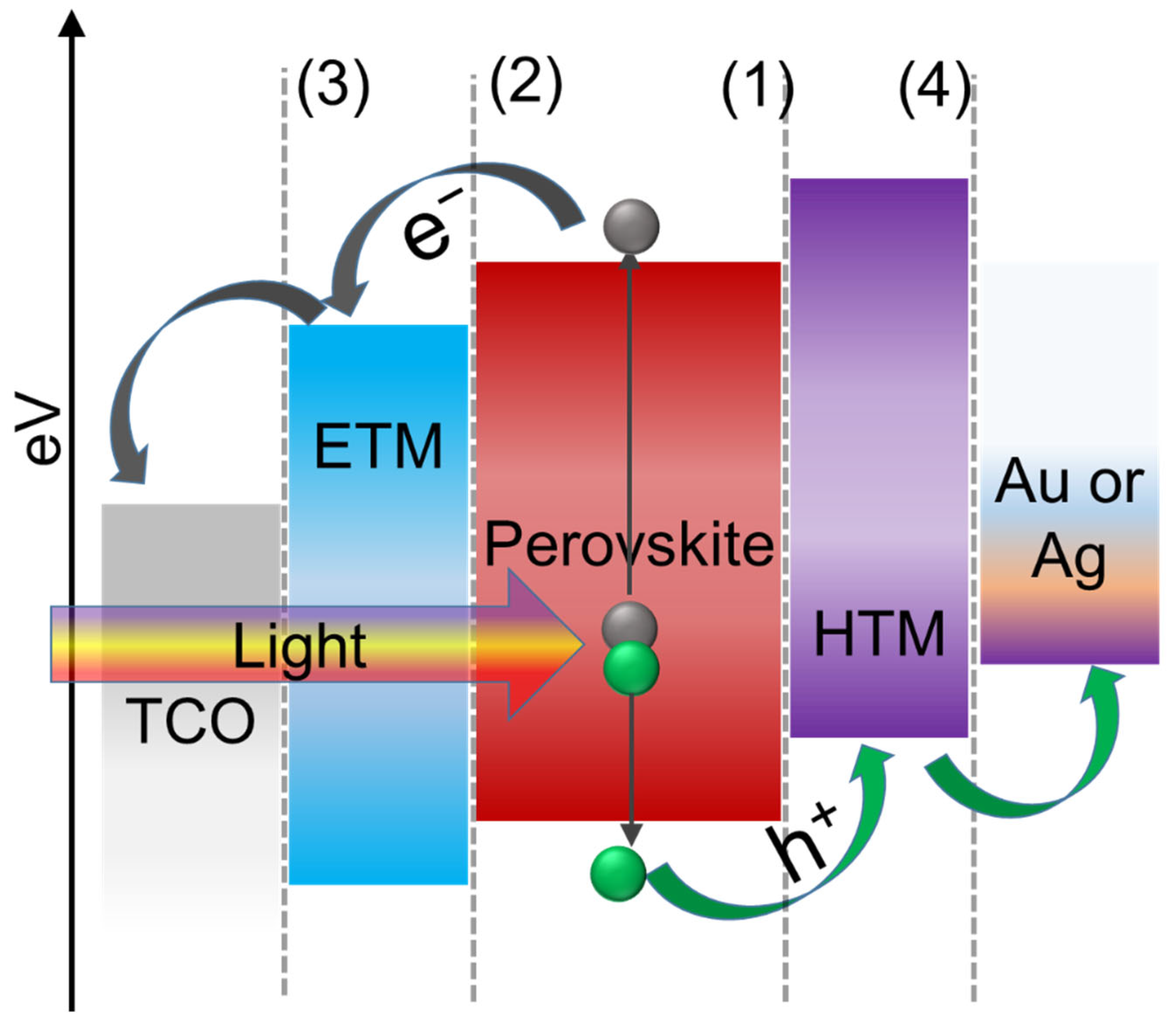 Nanomaterials 12 03003 g003