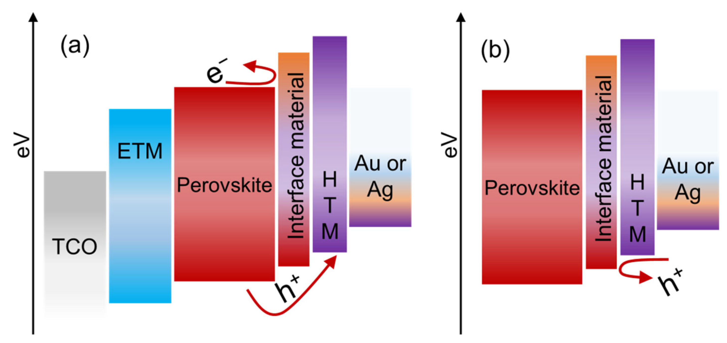 Nanomaterials 12 03003 g012