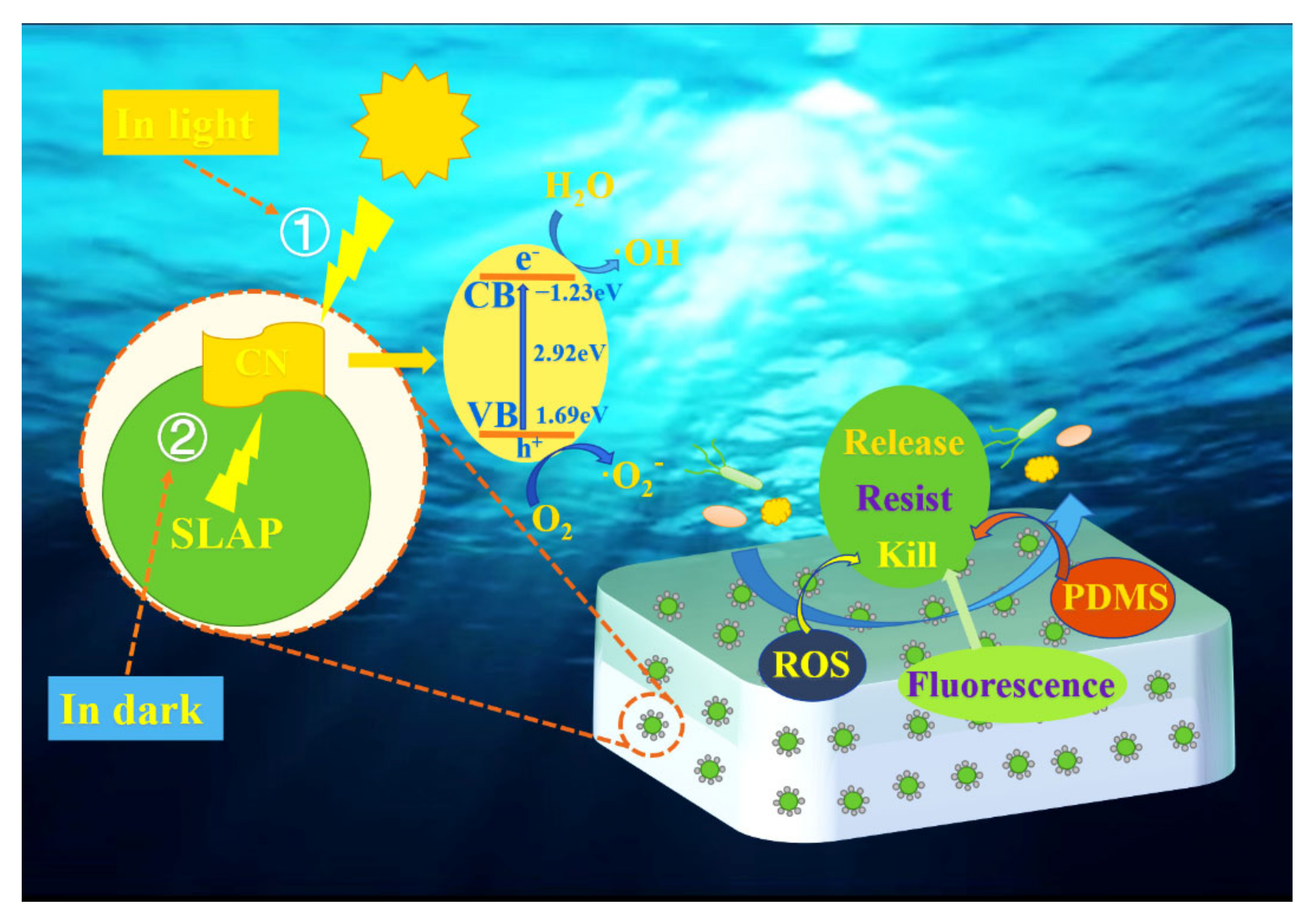 Nanomaterials 12 03005 g009