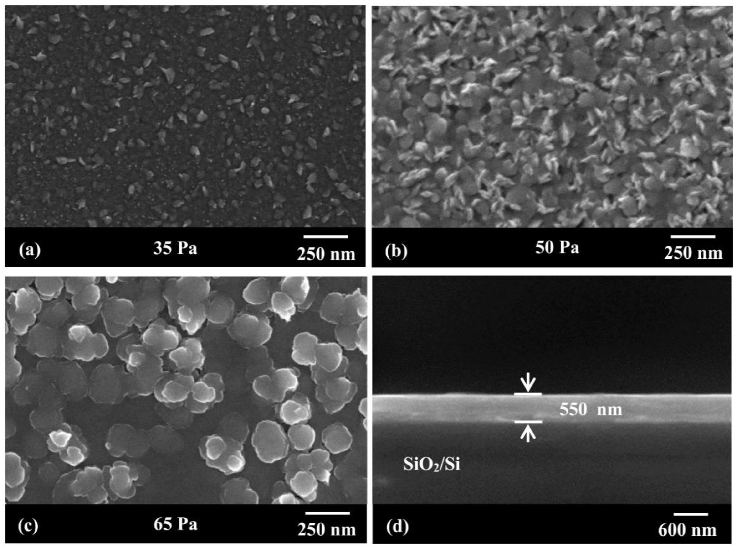 Nanomaterials 12 03018 g003