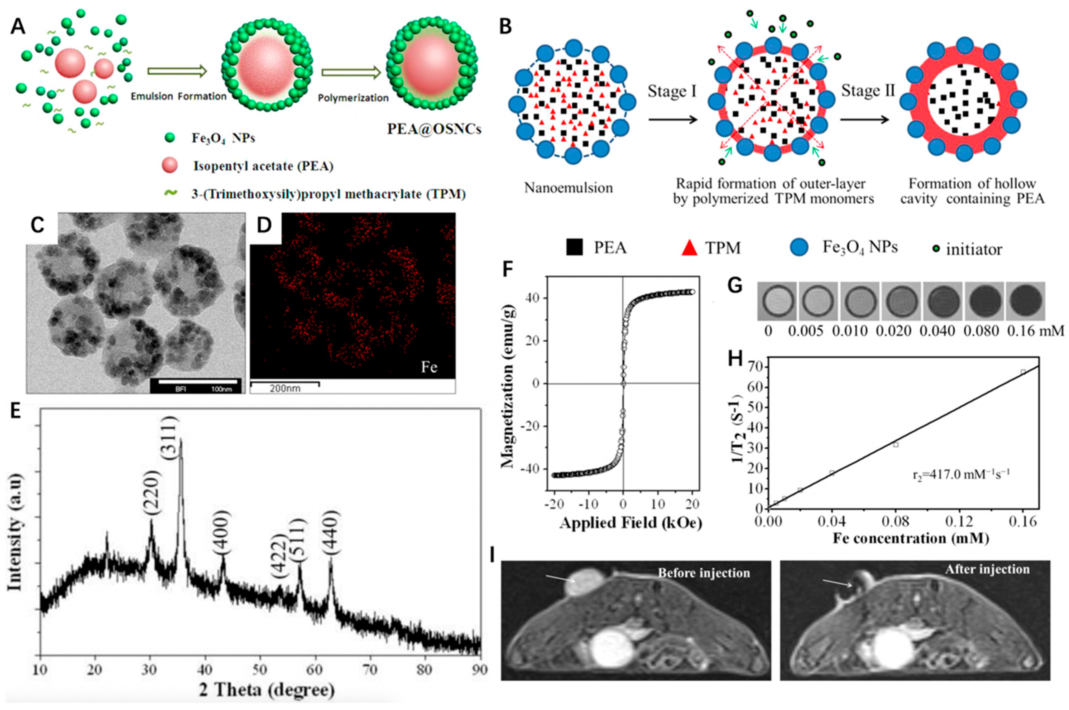 Nanomaterials 12 03023 g002