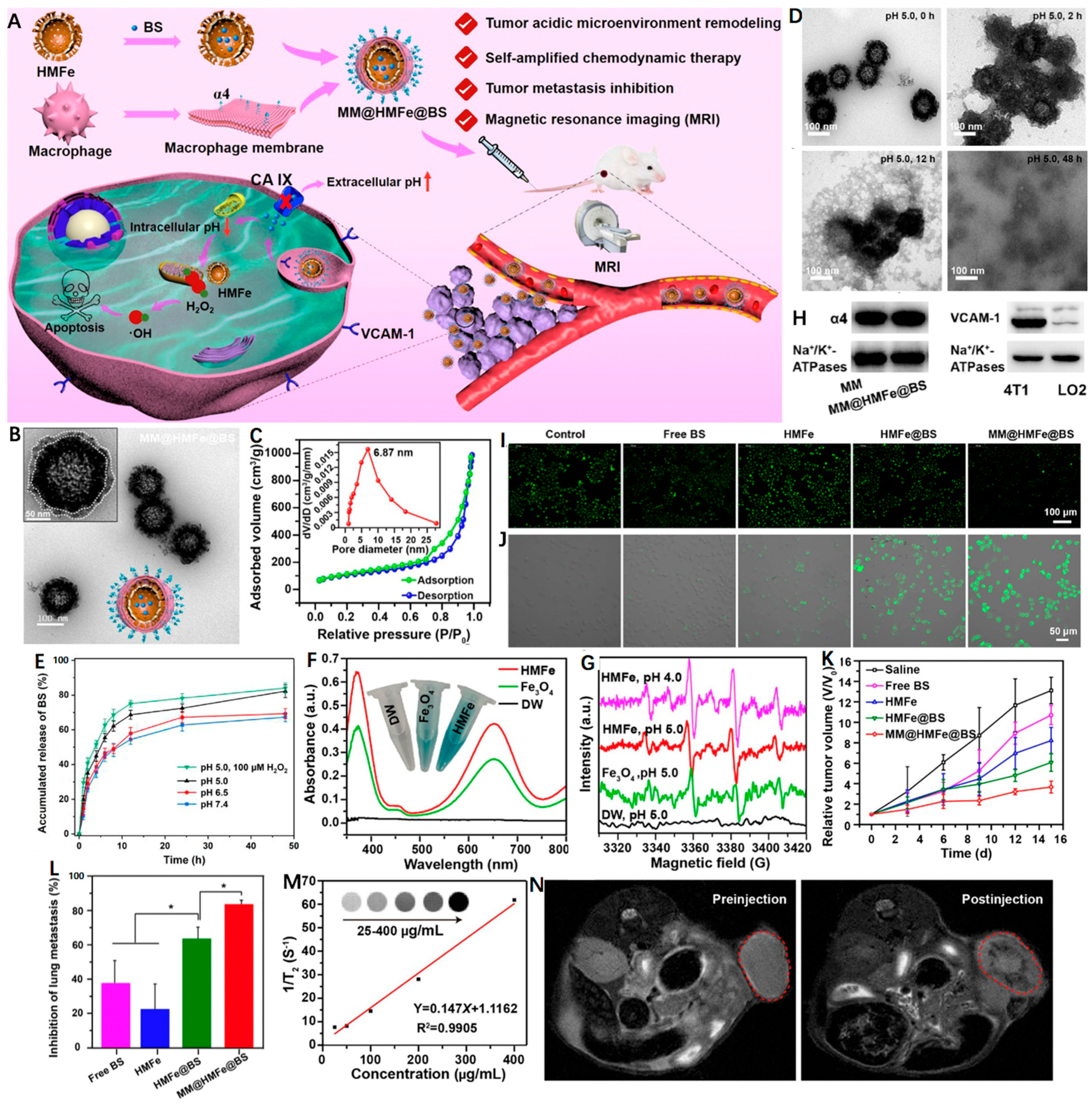 Nanomaterials 12 03023 g004