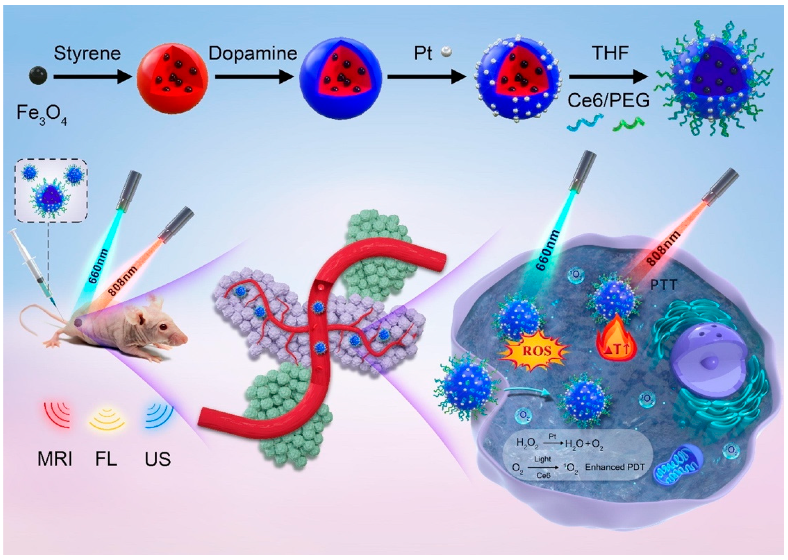 Nanomaterials 12 03023 g006