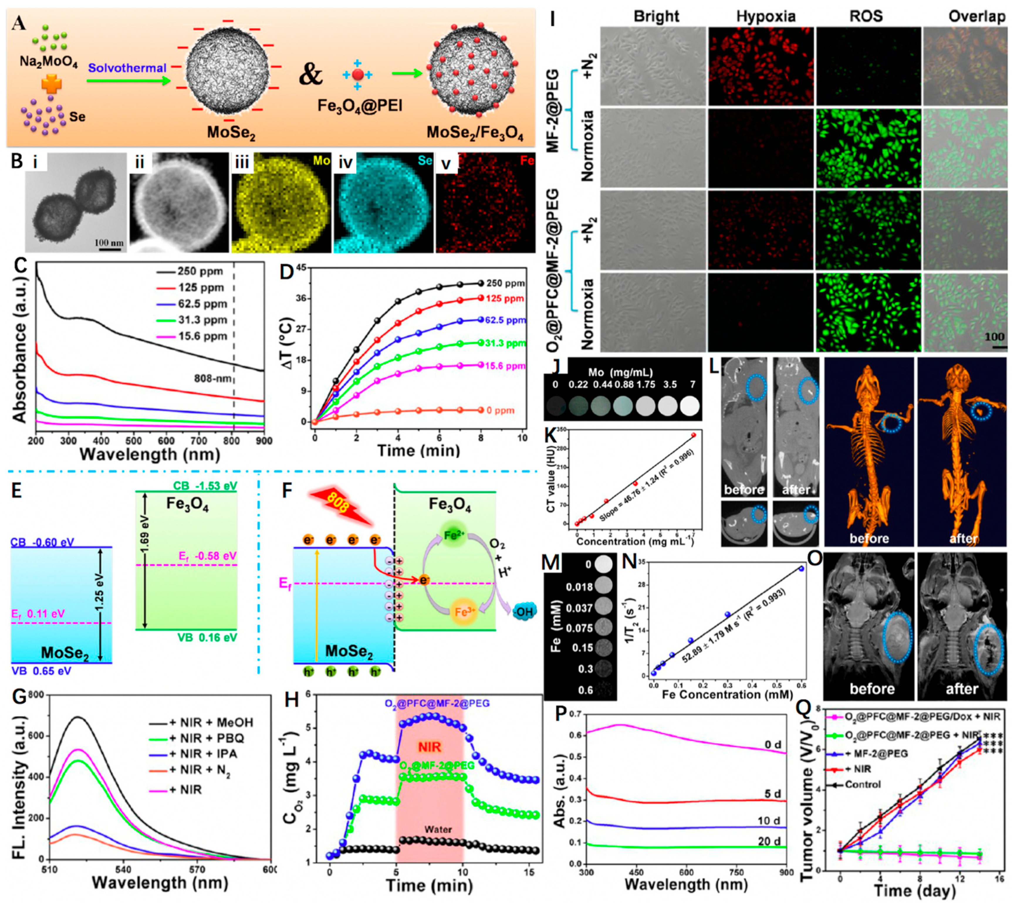 Nanomaterials 12 03023 g007