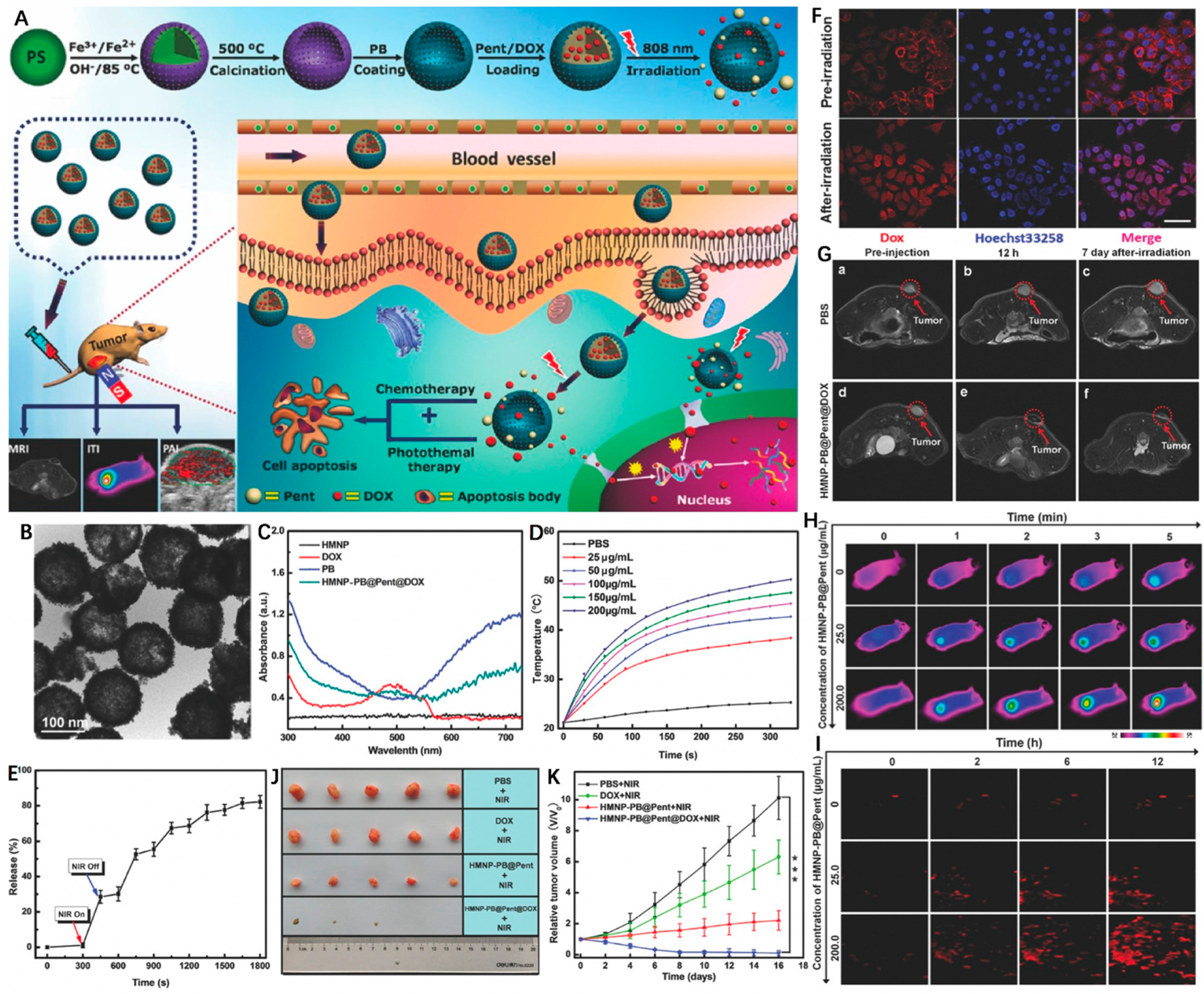 Nanomaterials 12 03023 g009