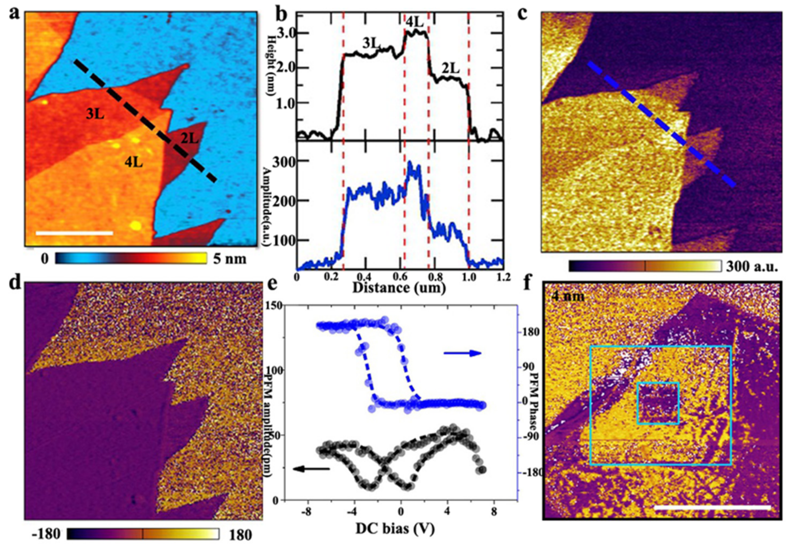 Nanomaterials 12 03026 g008