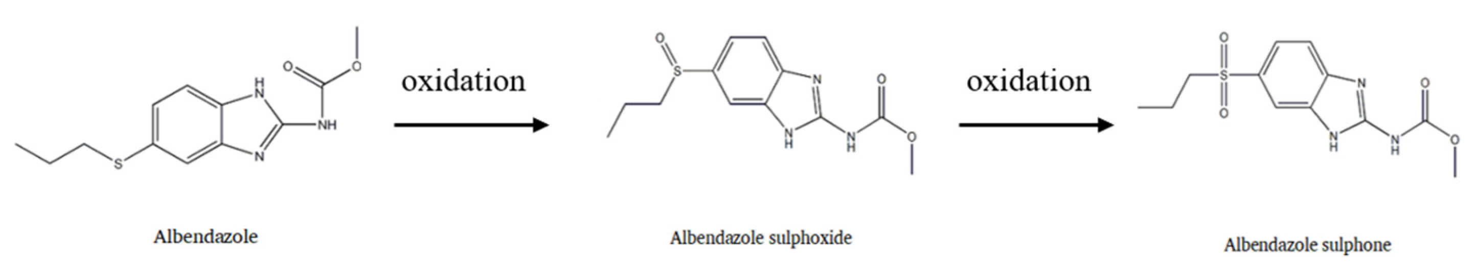 Nanomaterials 12 03032 g001
