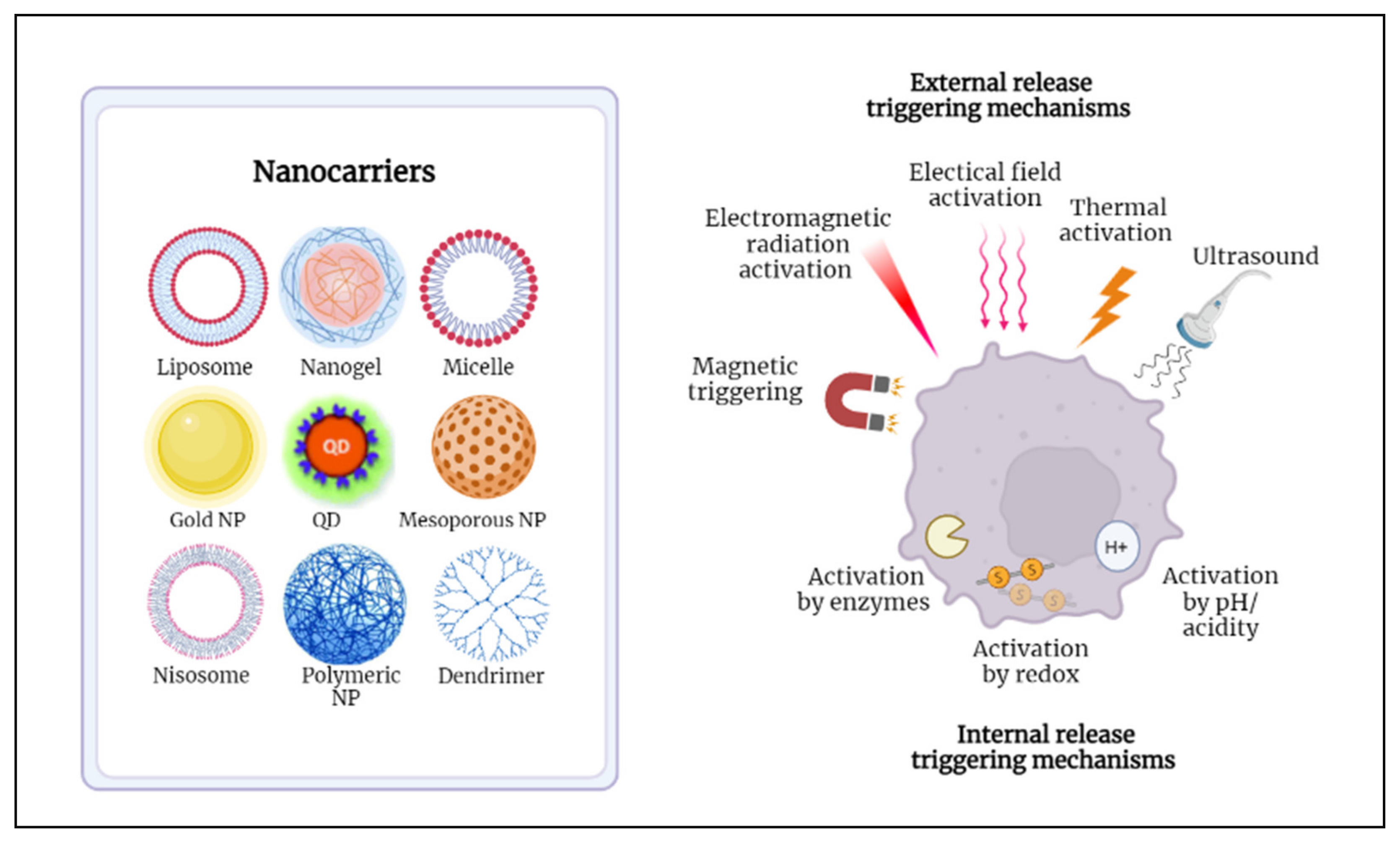 Nanomaterials 12 03051 g001 Nanomaterials 12 03051 g001