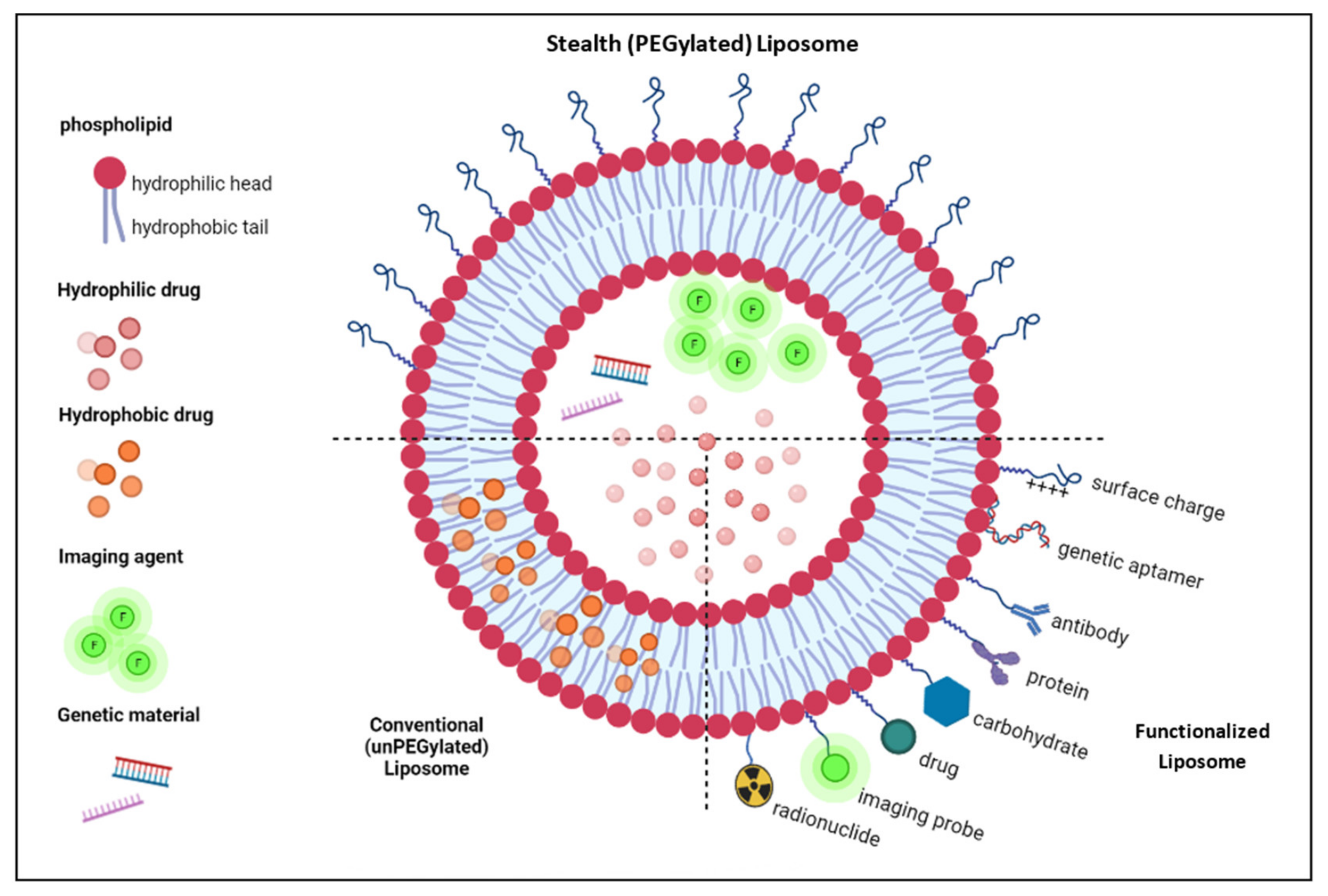 Nanomaterials 12 03051 g002 Nanomaterials 12 03051 g002