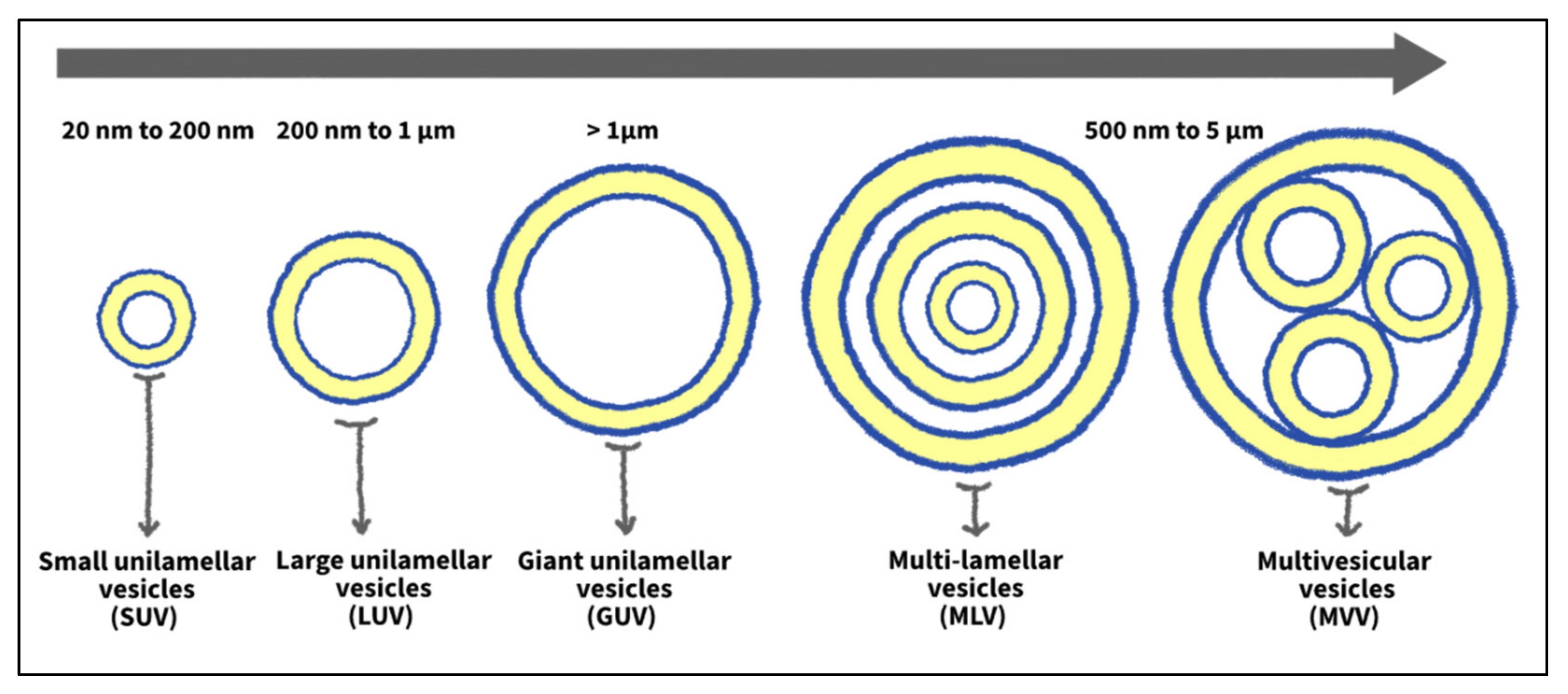 Nanomaterials 12 03051 g003 Nanomaterials 12 03051 g003