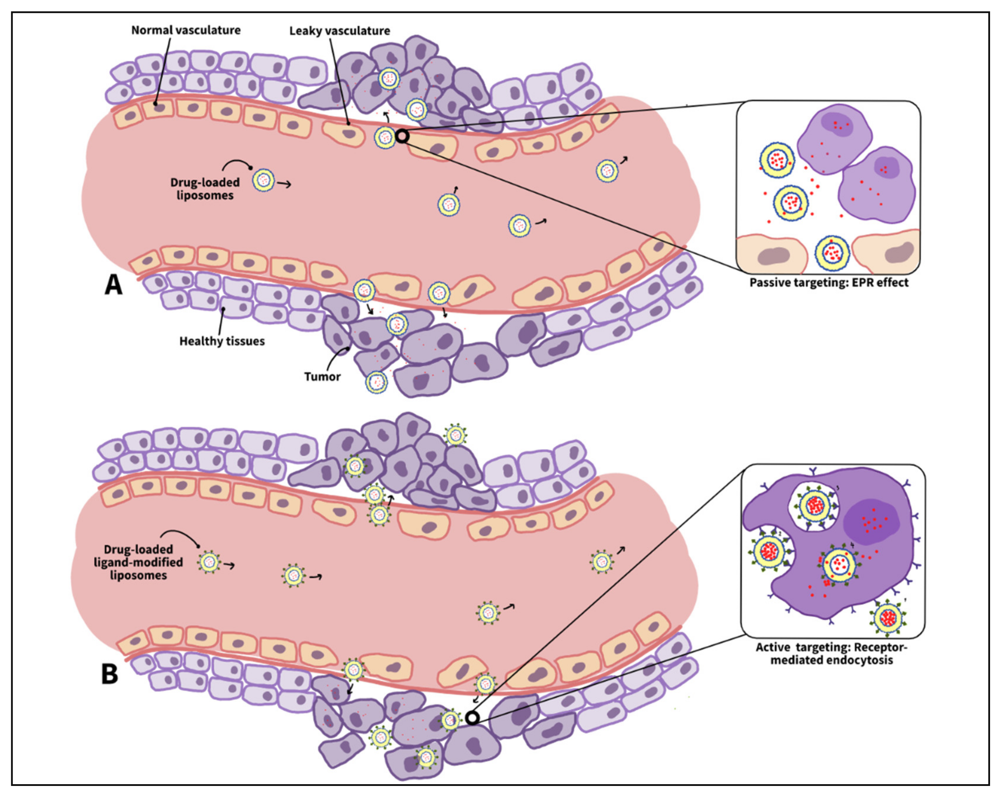 Nanomaterials 12 03051 g004 Nanomaterials 12 03051 g004