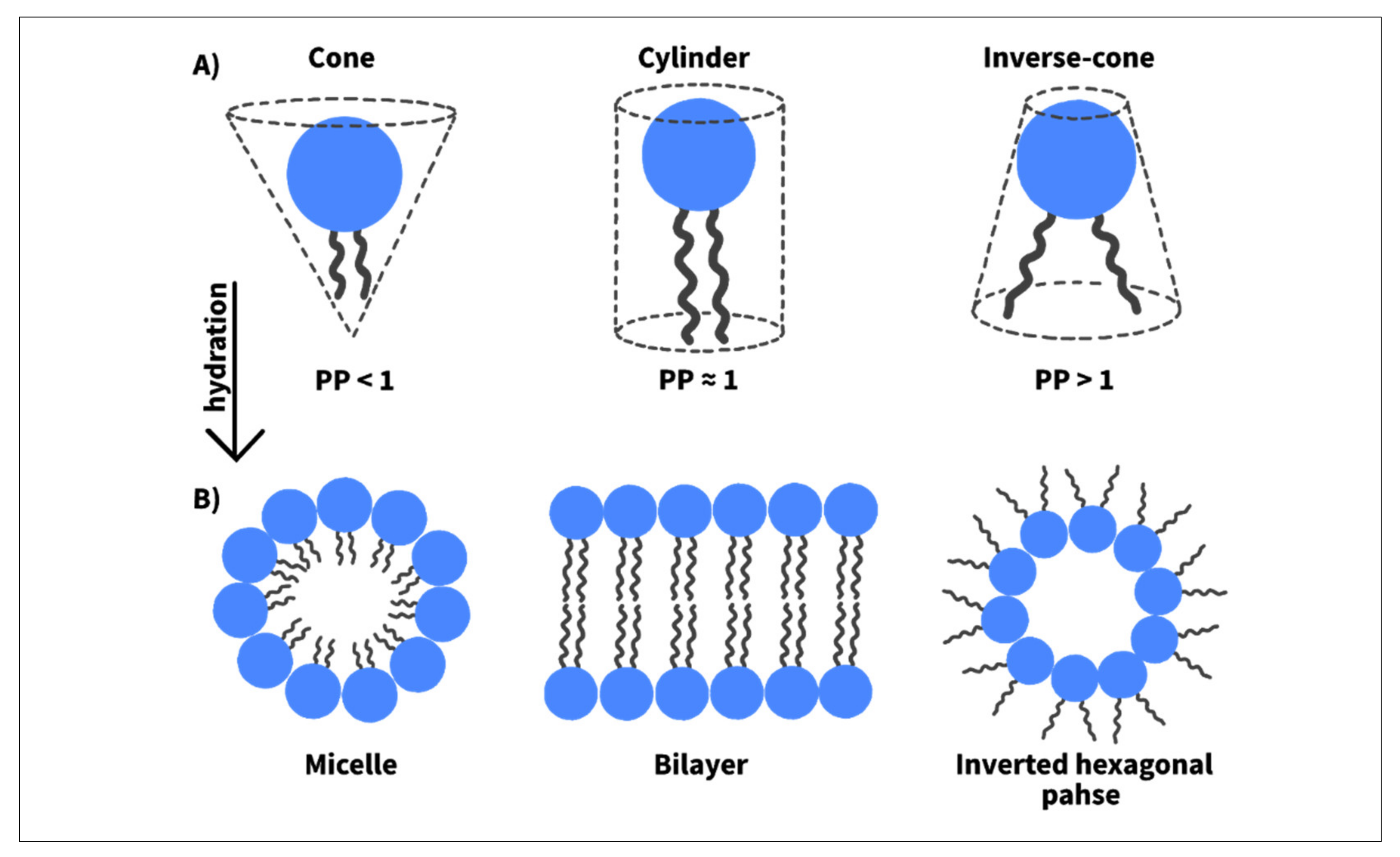 Nanomaterials 12 03051 g006 Nanomaterials 12 03051 g006