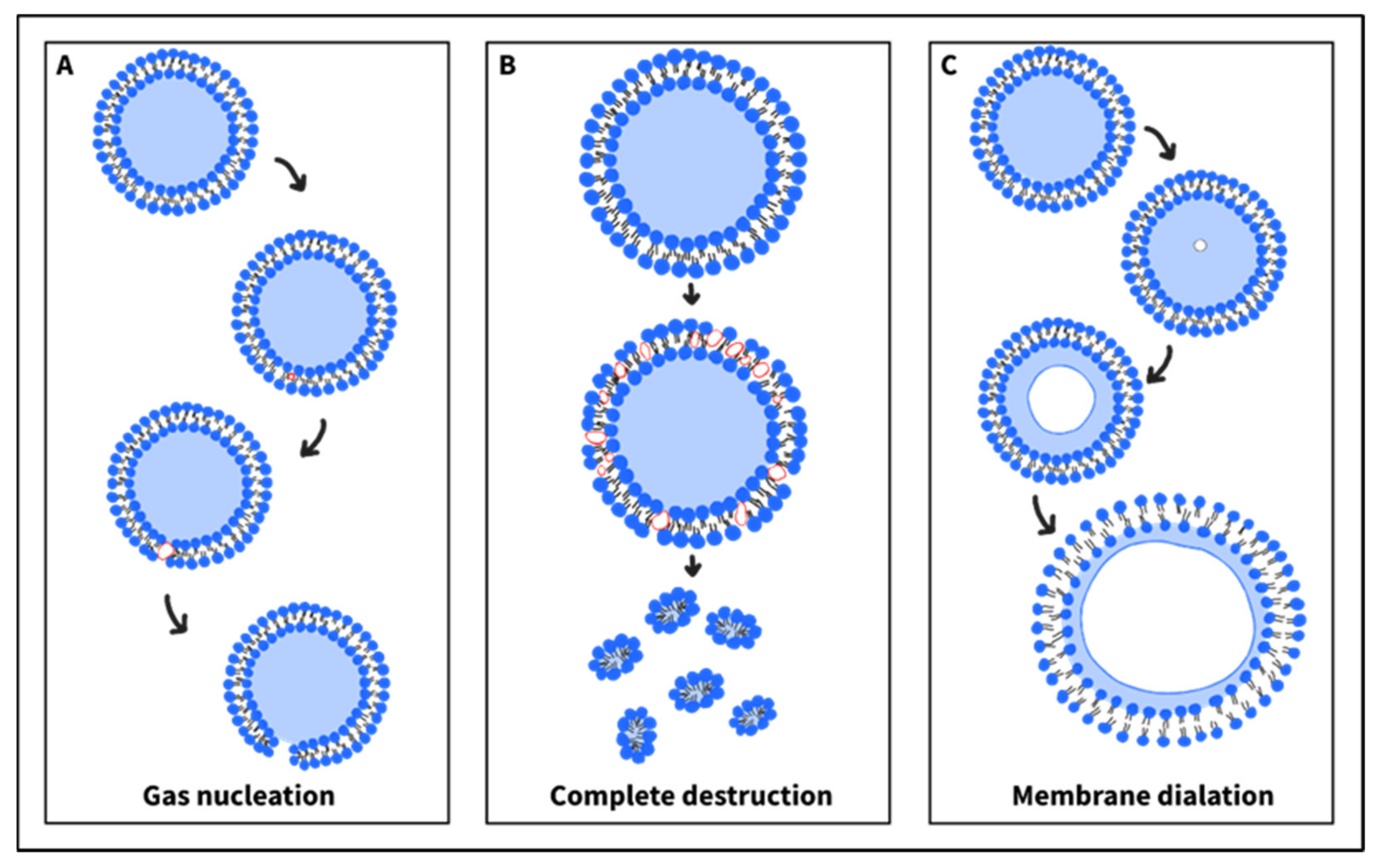Nanomaterials 12 03051 g007 Nanomaterials 12 03051 g007