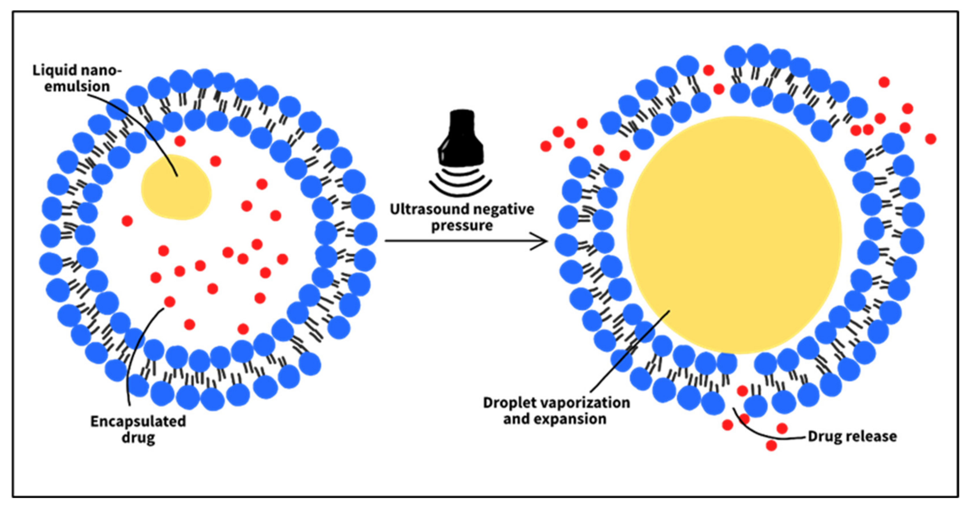 Nanomaterials 12 03051 g008 Nanomaterials 12 03051 g008