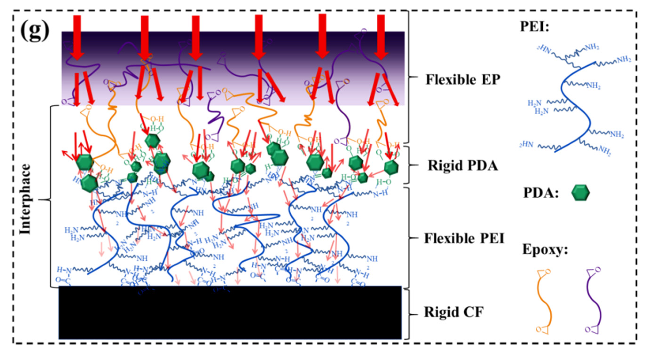Nanomaterials 12 03056 g007b