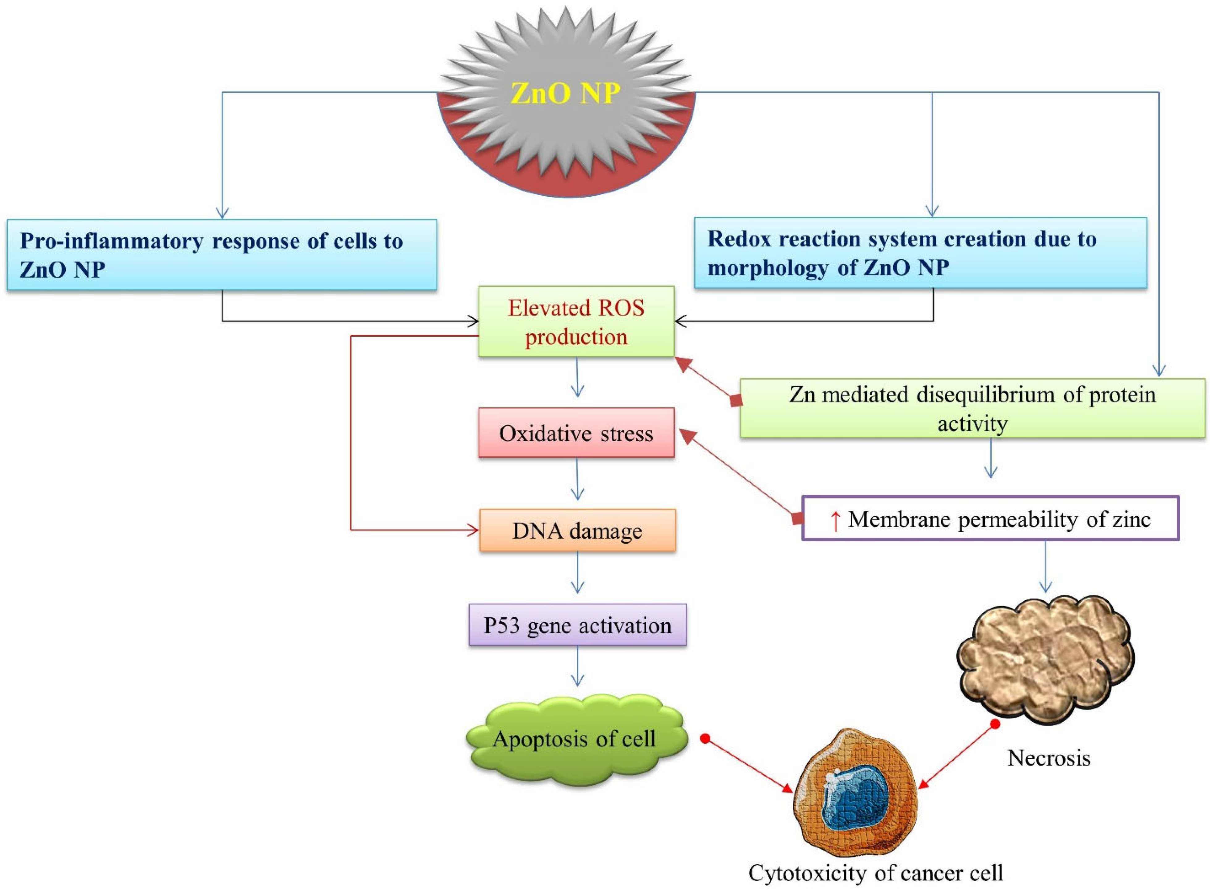 Nanomaterials 12 03066 g003