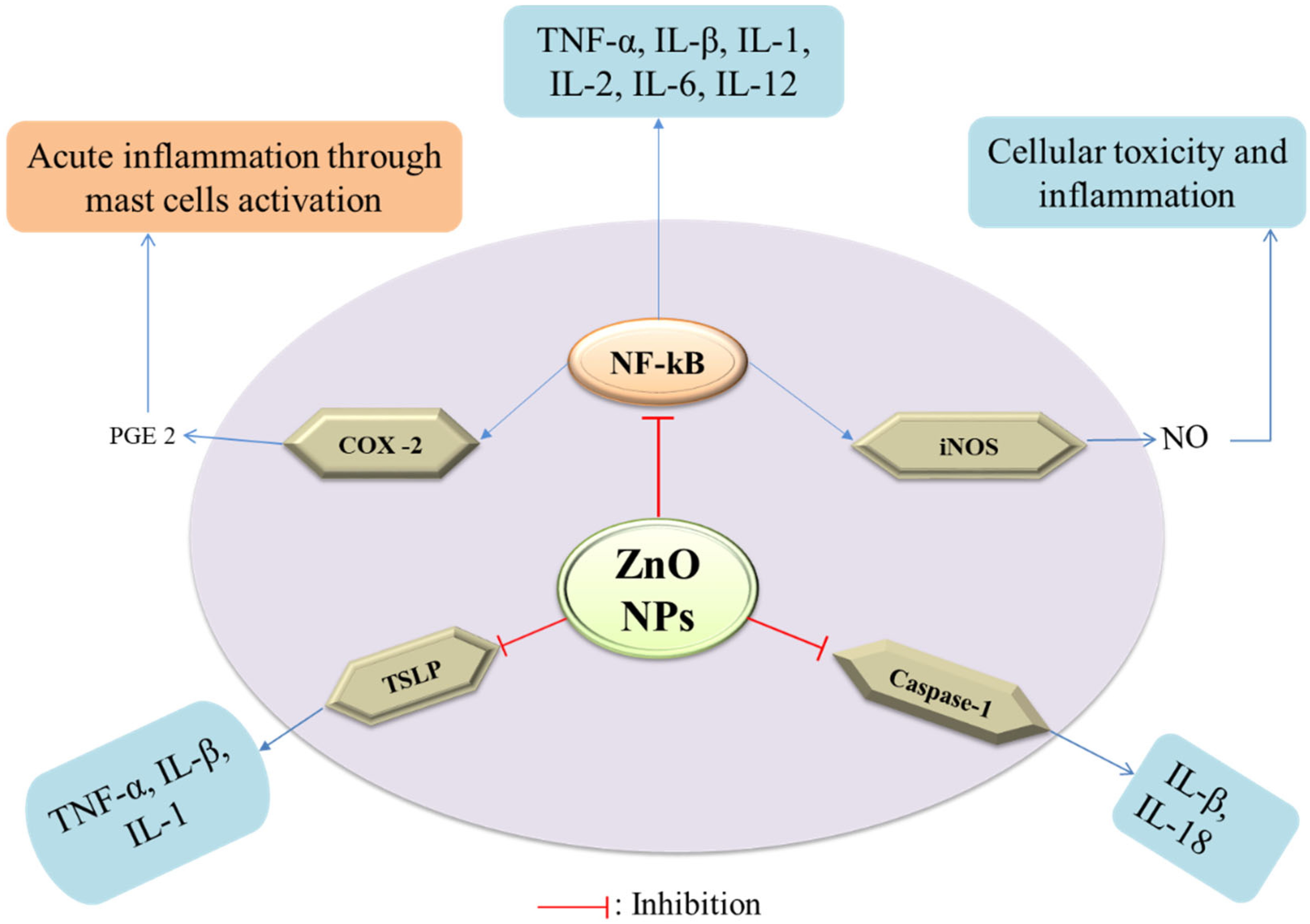 Nanomaterials 12 03066 g004