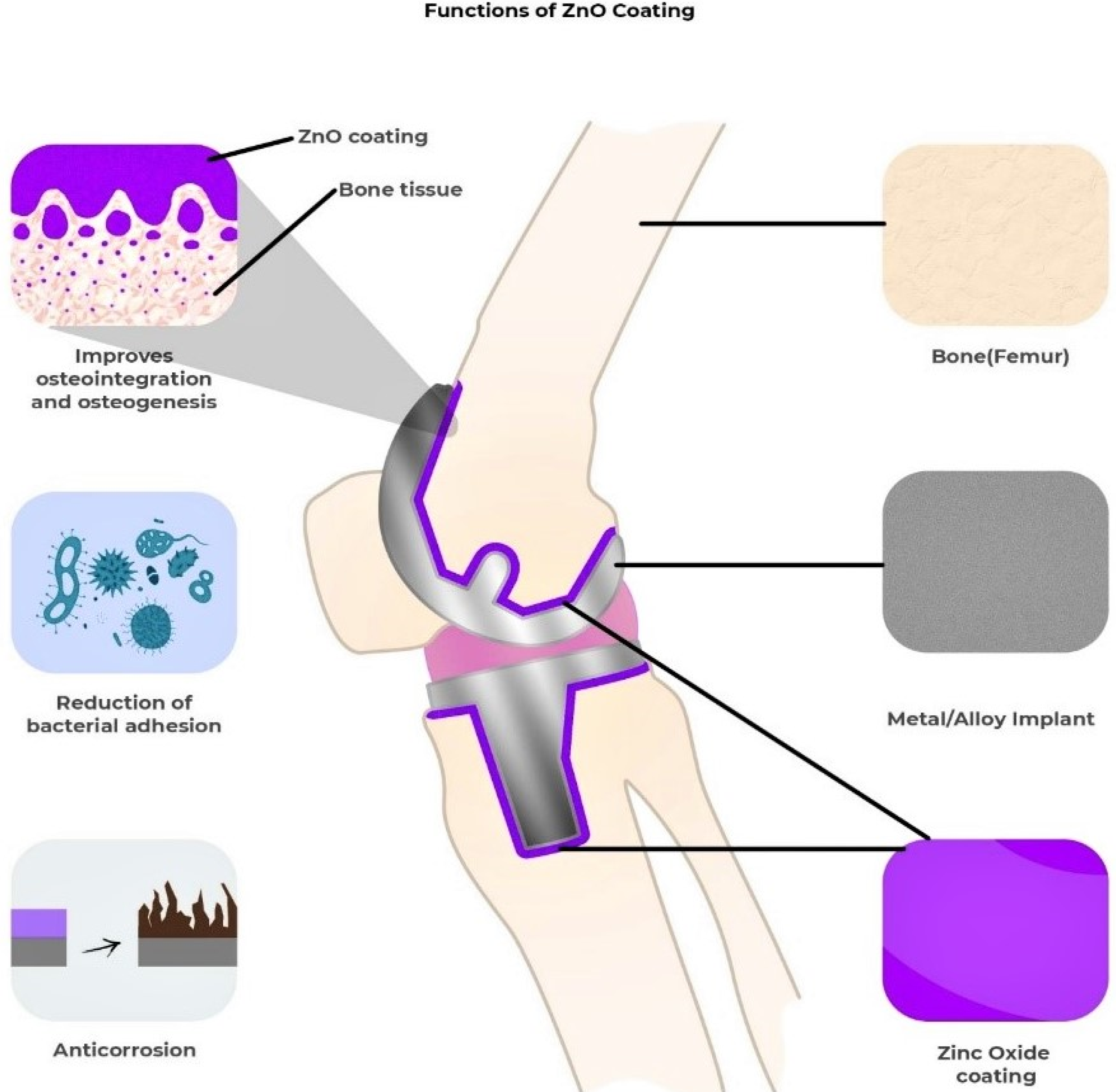 Nanomaterials 12 03066 g005