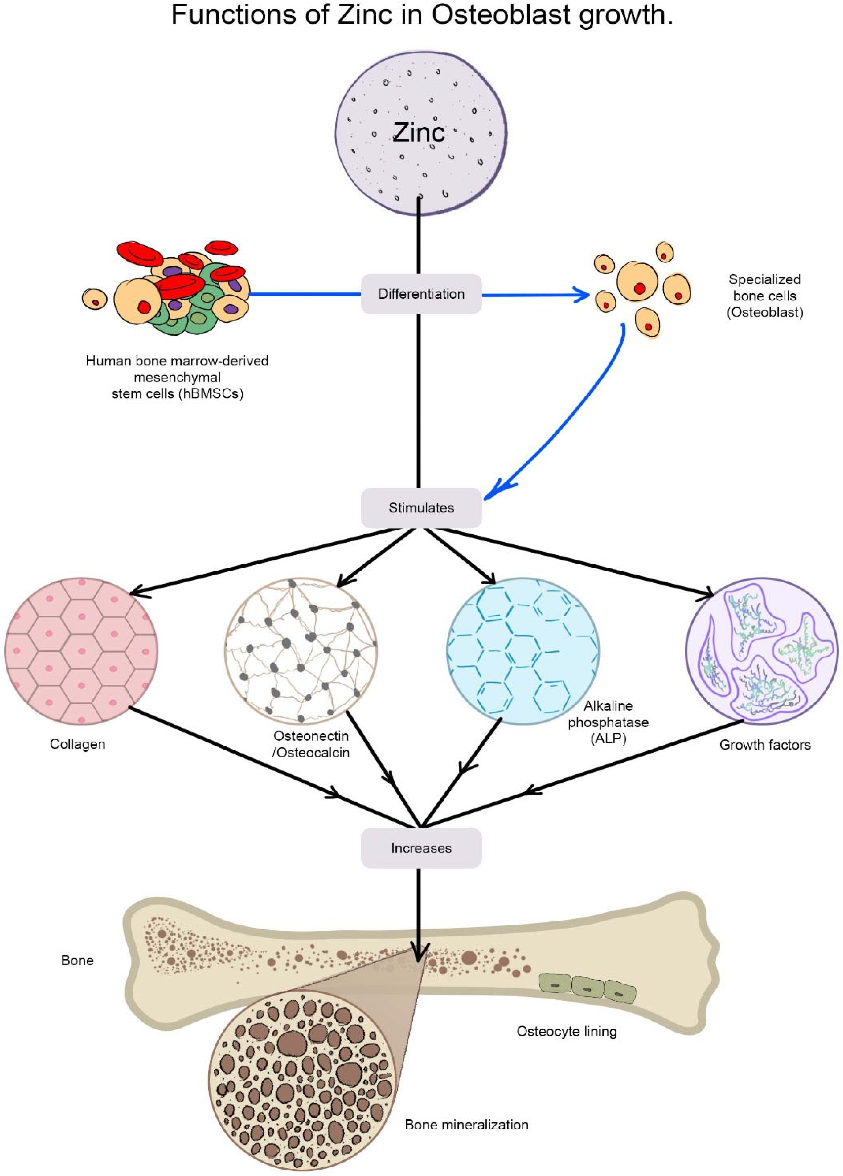 Nanomaterials 12 03066 g006