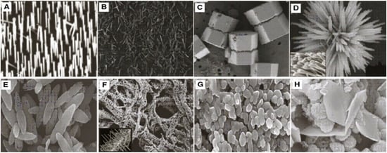 Nanomaterials 12 03066 g008