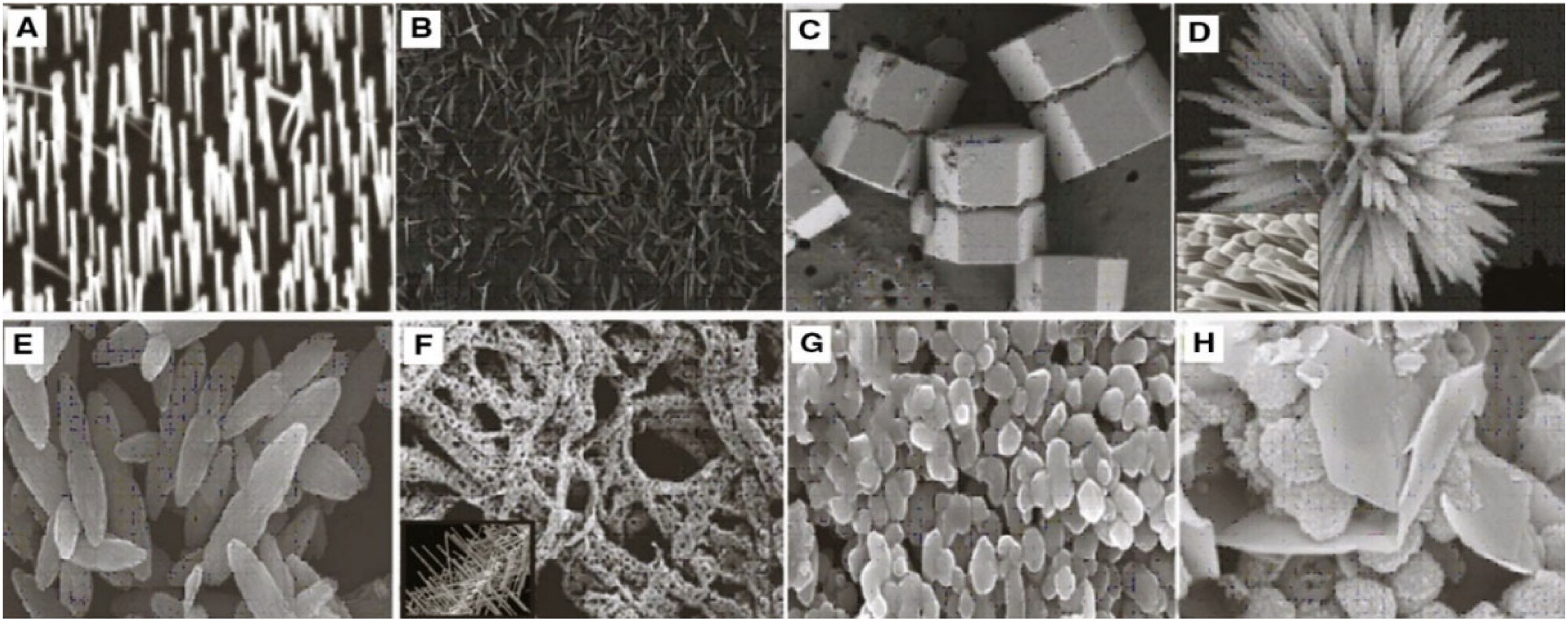 Nanomaterials 12 03066 g008