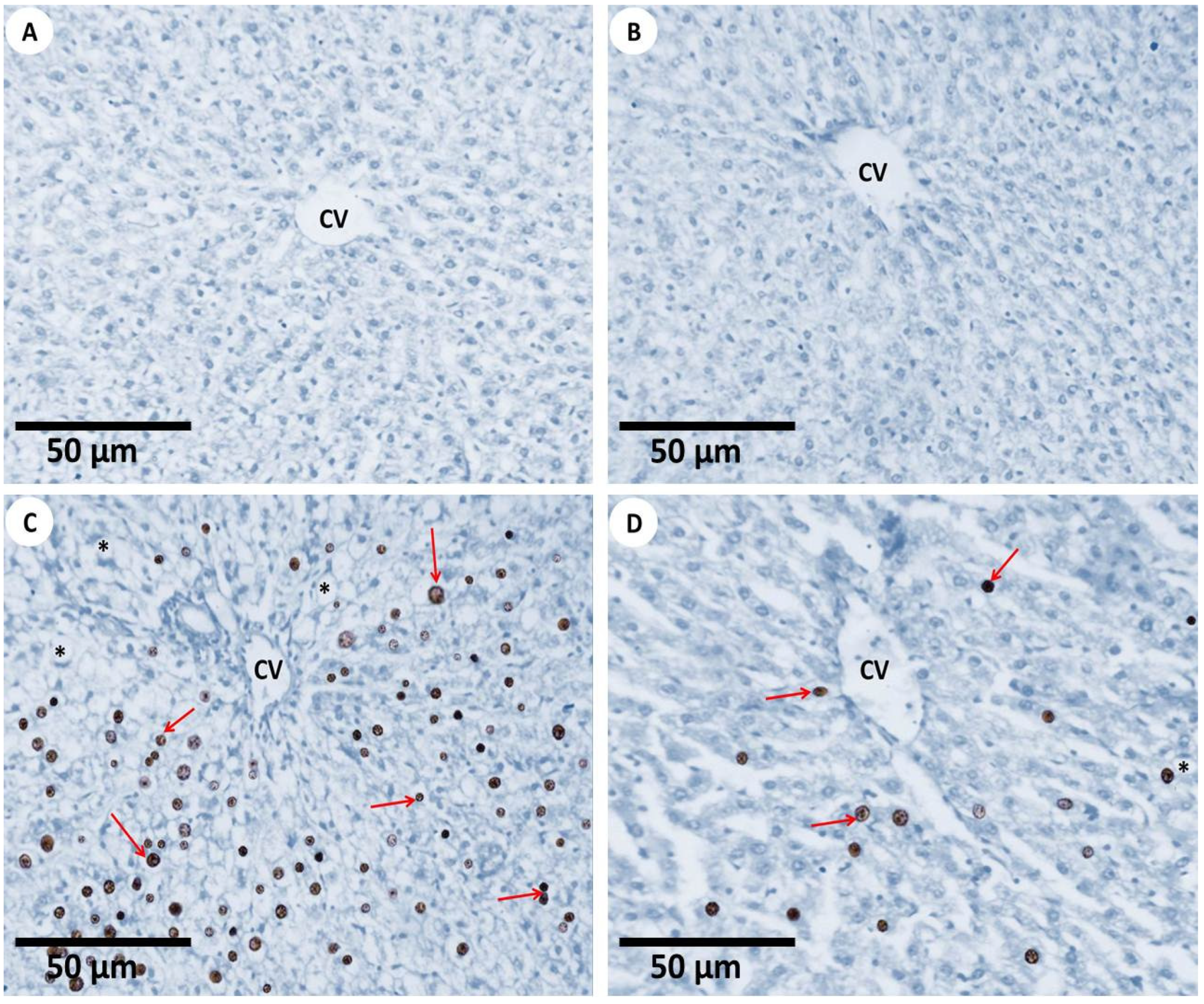 Nanomaterials 12 03074 g007