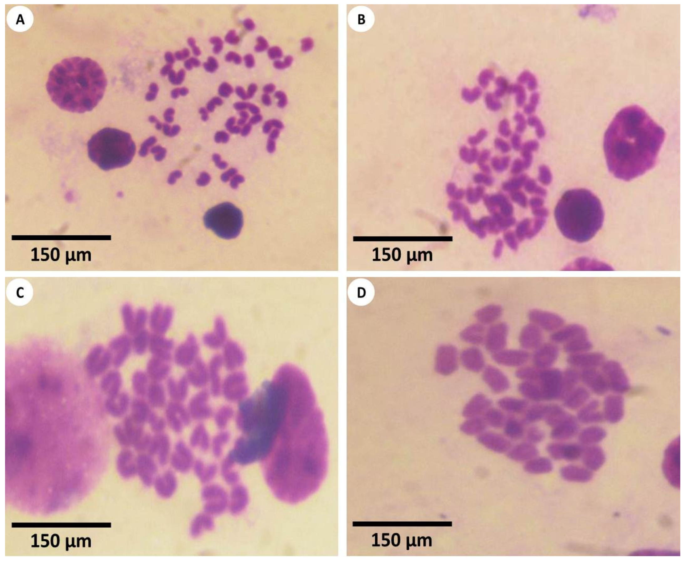 Nanomaterials 12 03074 g010