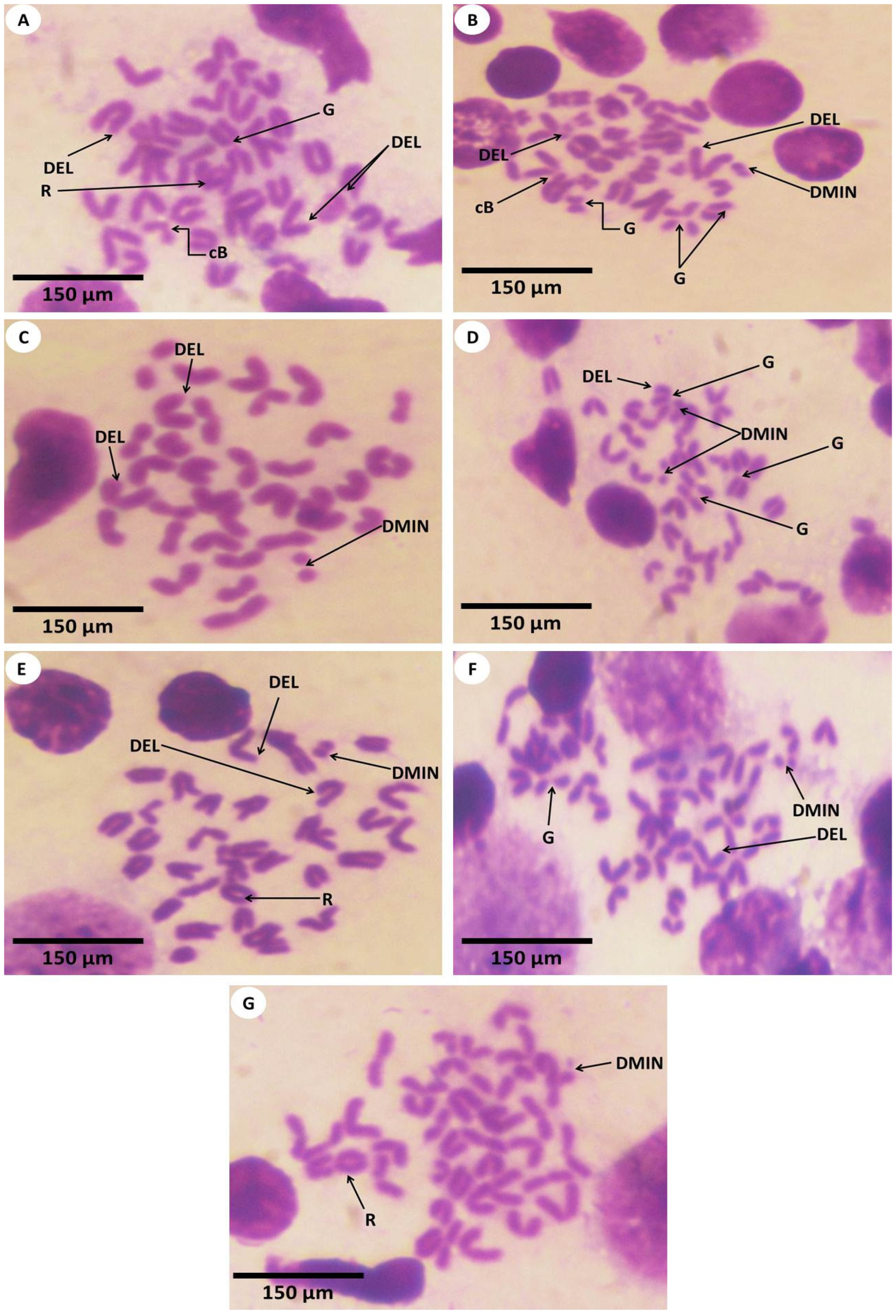 Nanomaterials 12 03074 g011