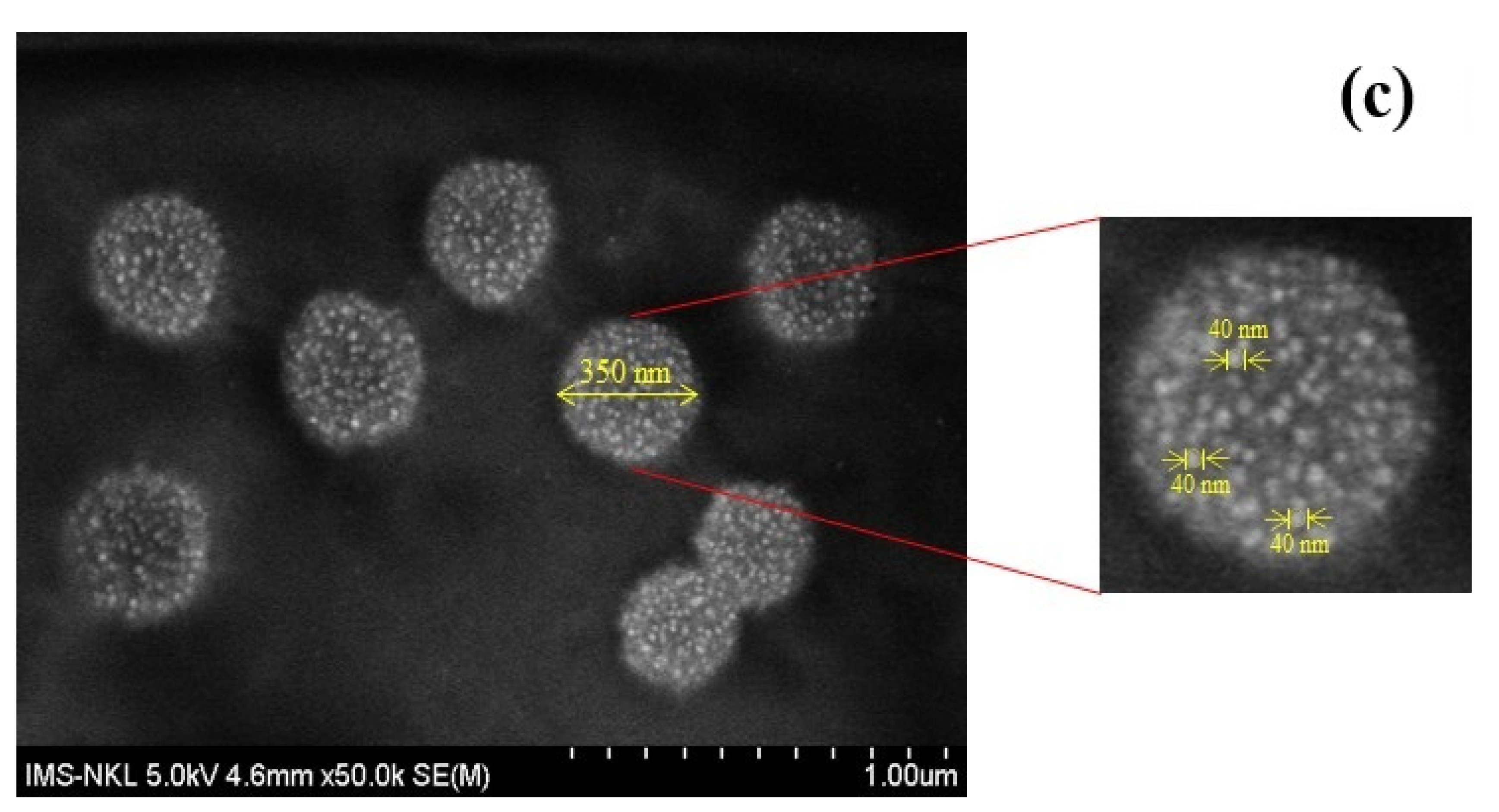 Nanomaterials 12 03080 g006b