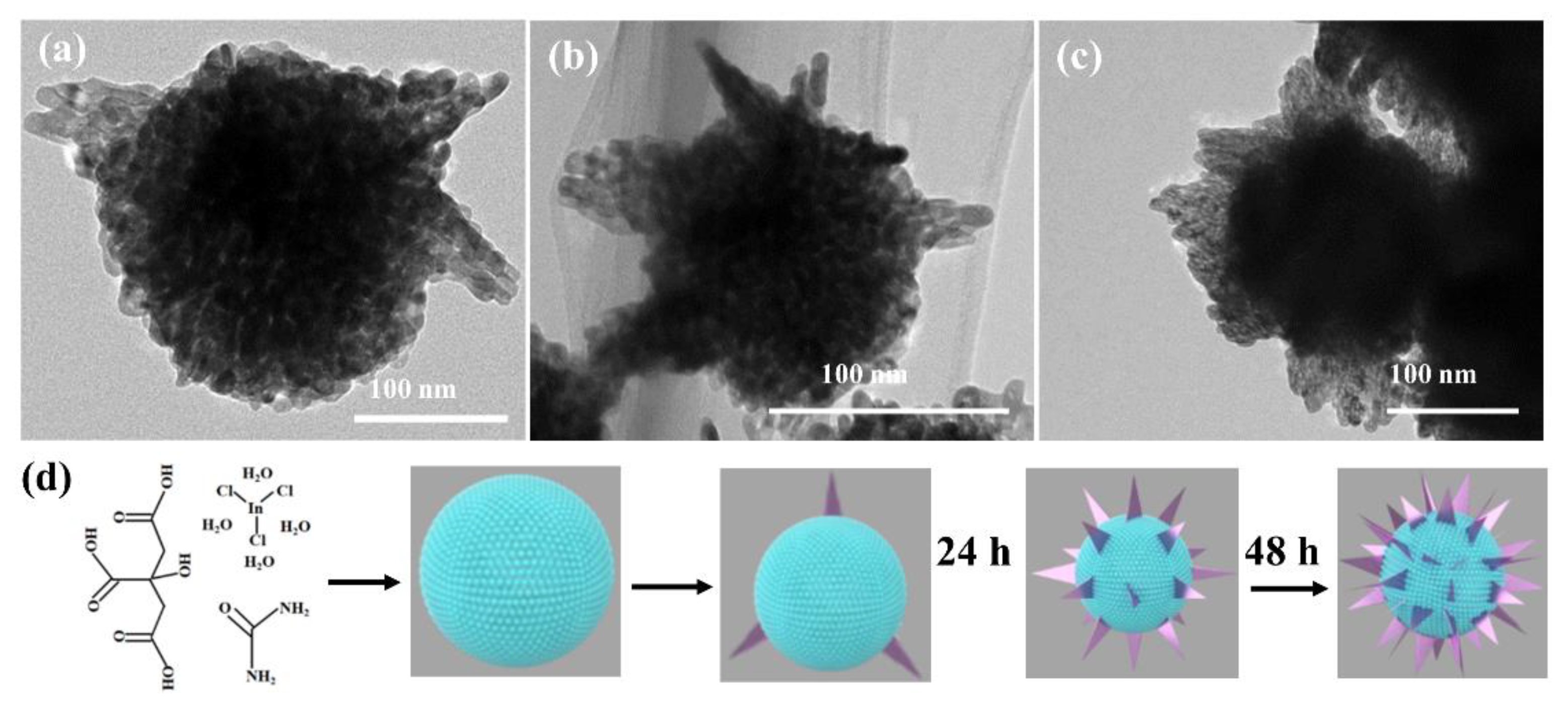 Nanomaterials 12 03081 g003