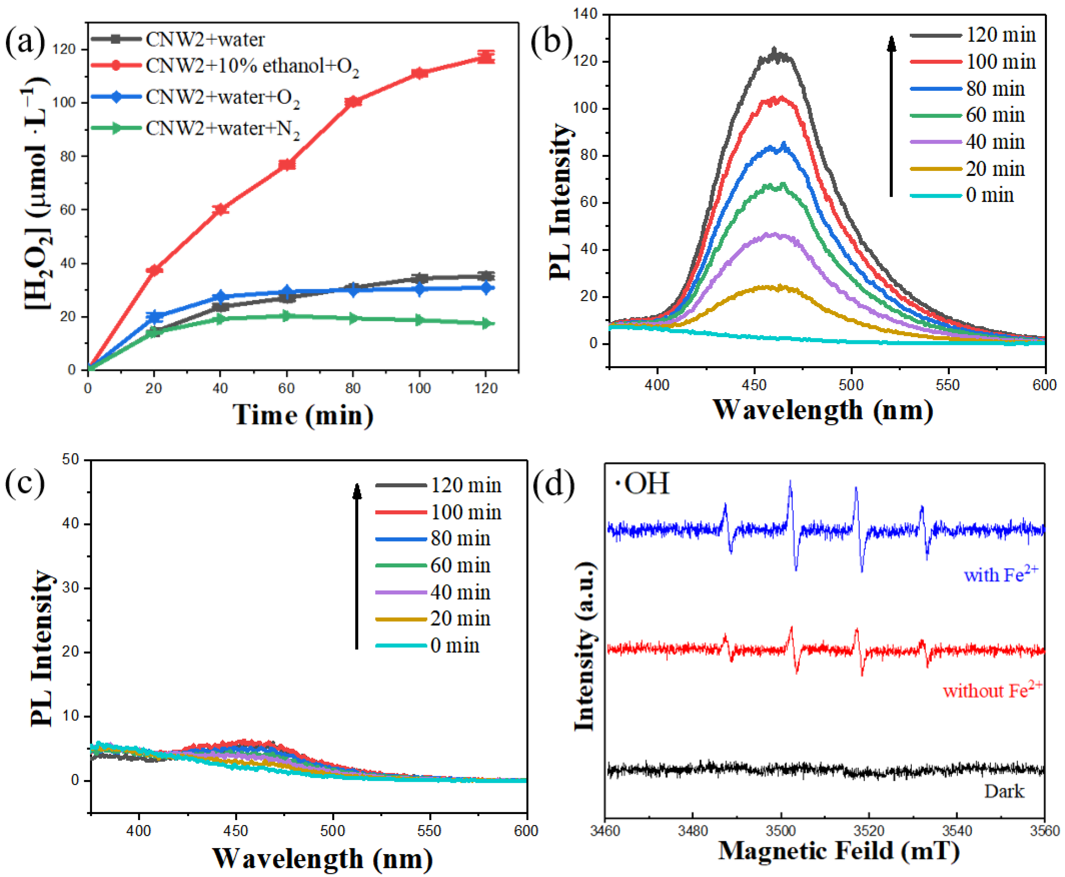 Nanomaterials 12 03089 g009
