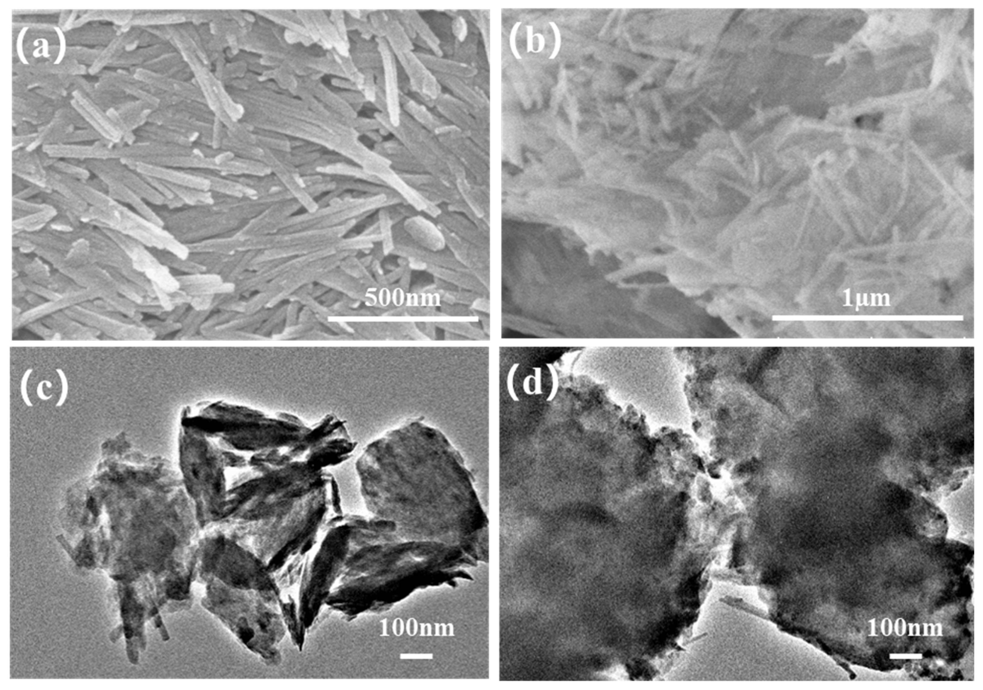Nanomaterials 12 03094 g001
