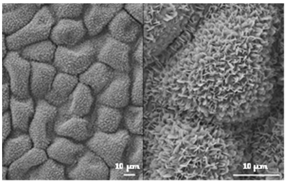 Nanomaterials 12 03099 g001