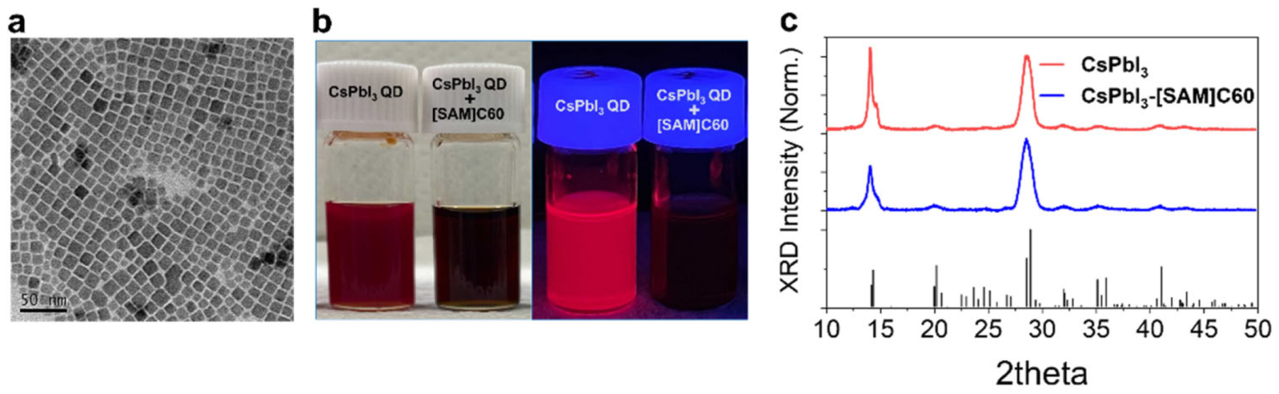 Nanomaterials 12 03101 g001