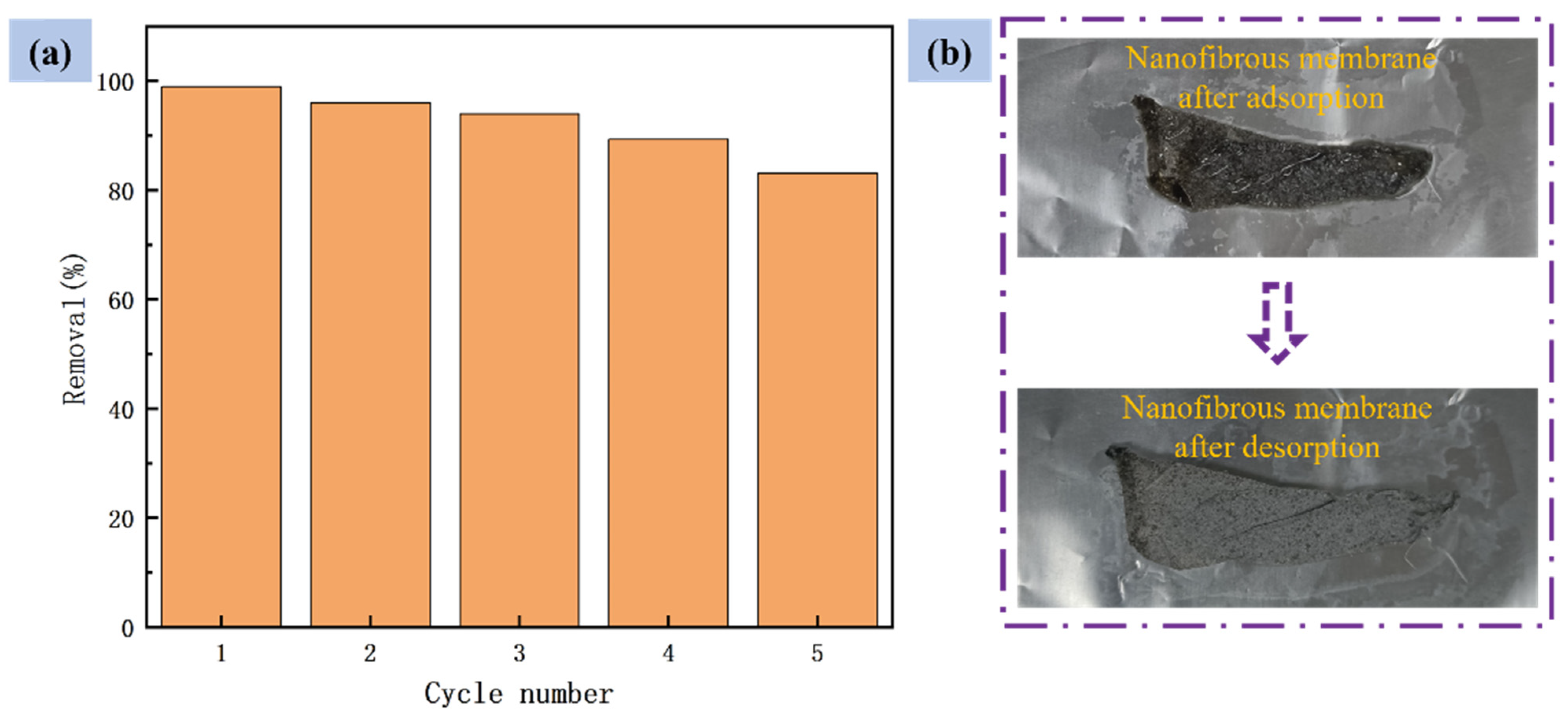 Nanomaterials 12 03115 g010