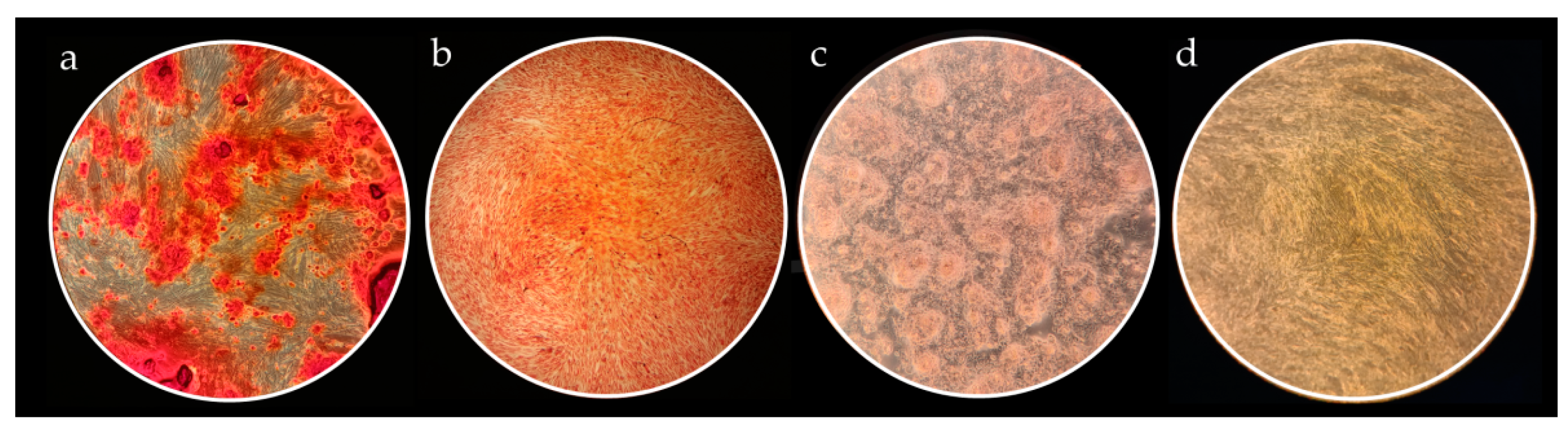 Nanomaterials 12 03116 g007