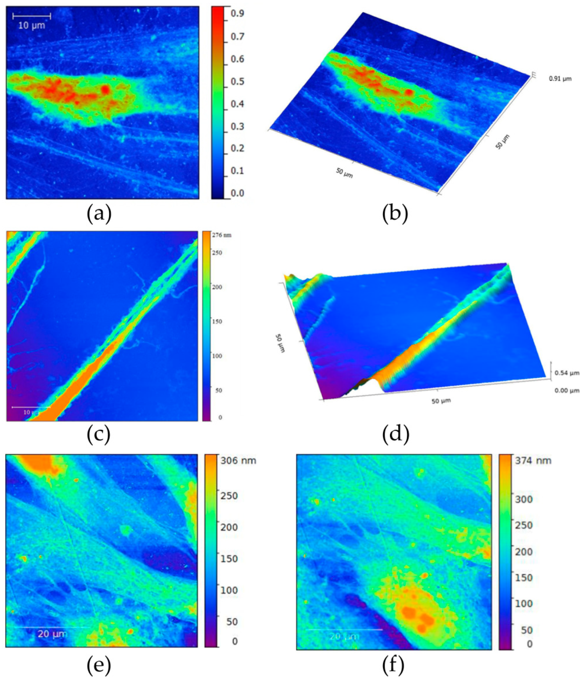 Nanomaterials 12 03116 g011