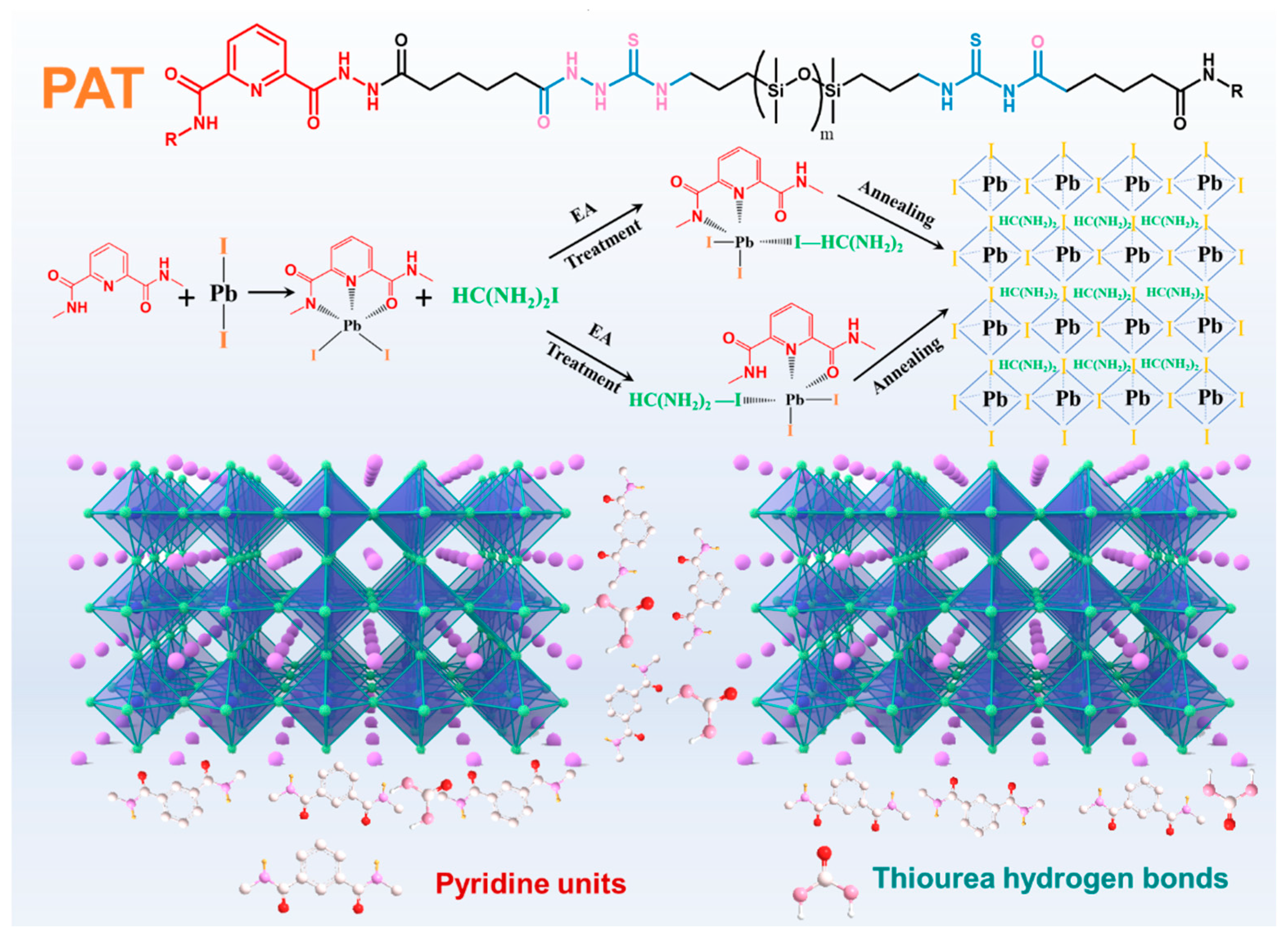 Nanomaterials 12 03125 g001