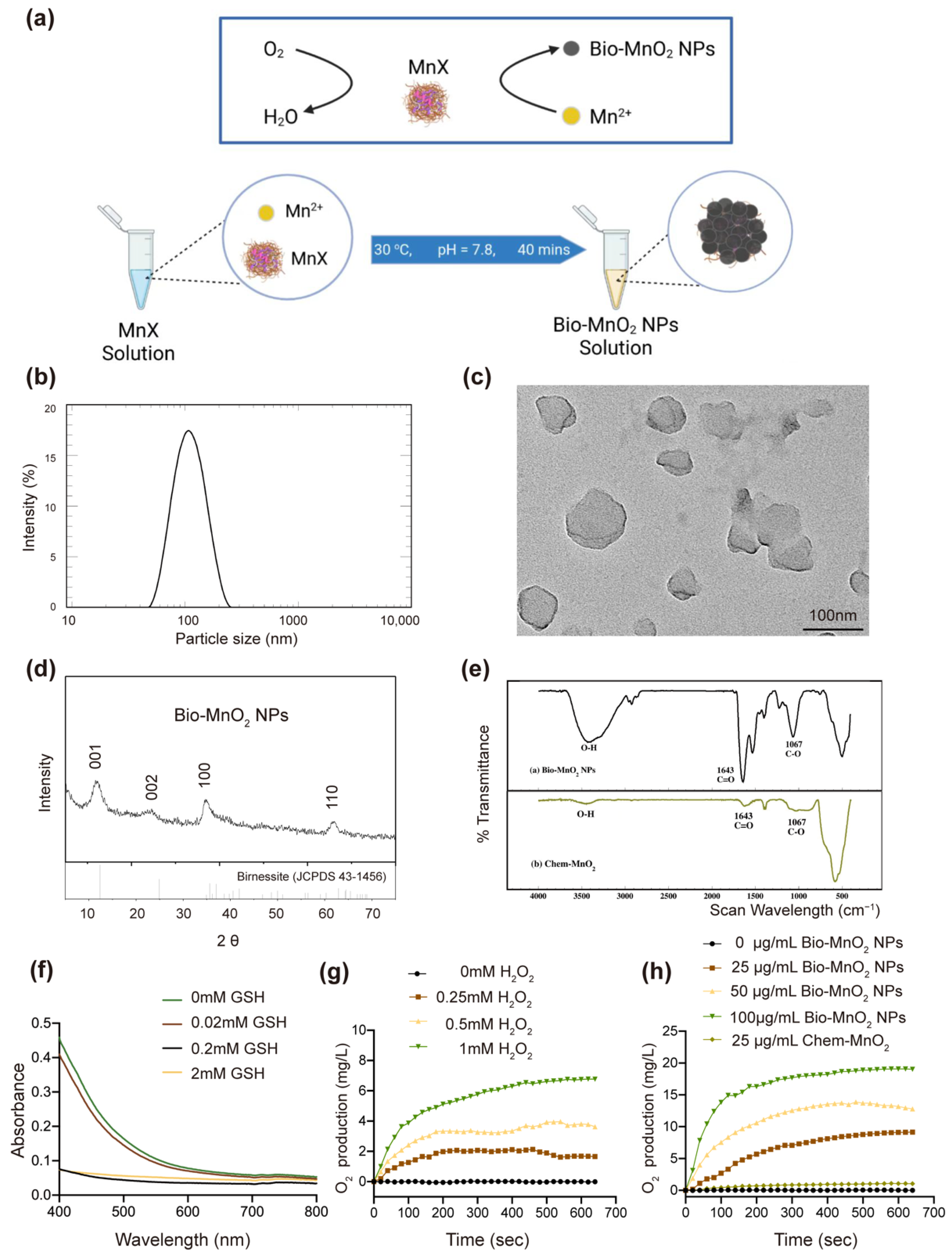 Nanomaterials 12 03138 g001