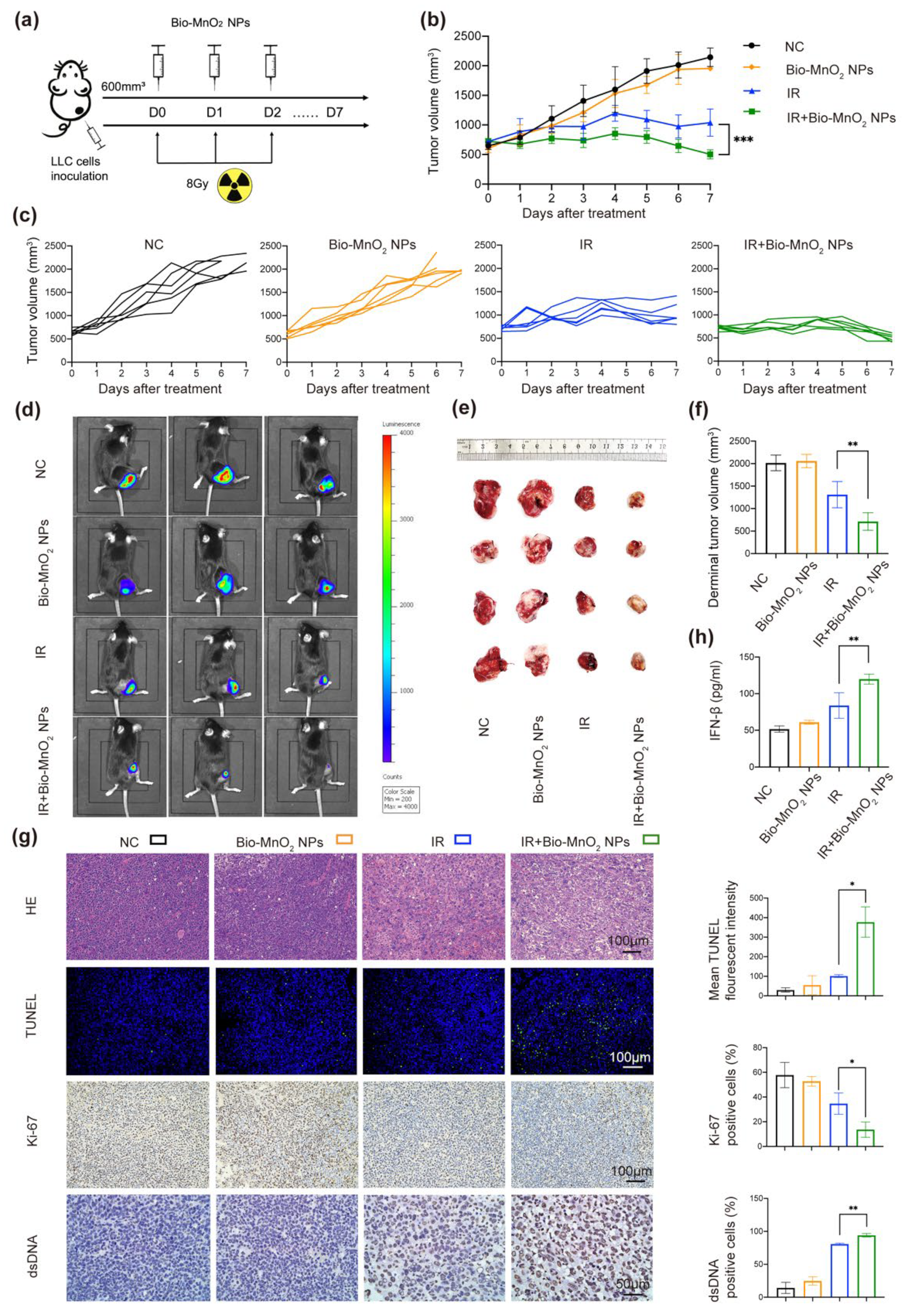 Nanomaterials 12 03138 g007