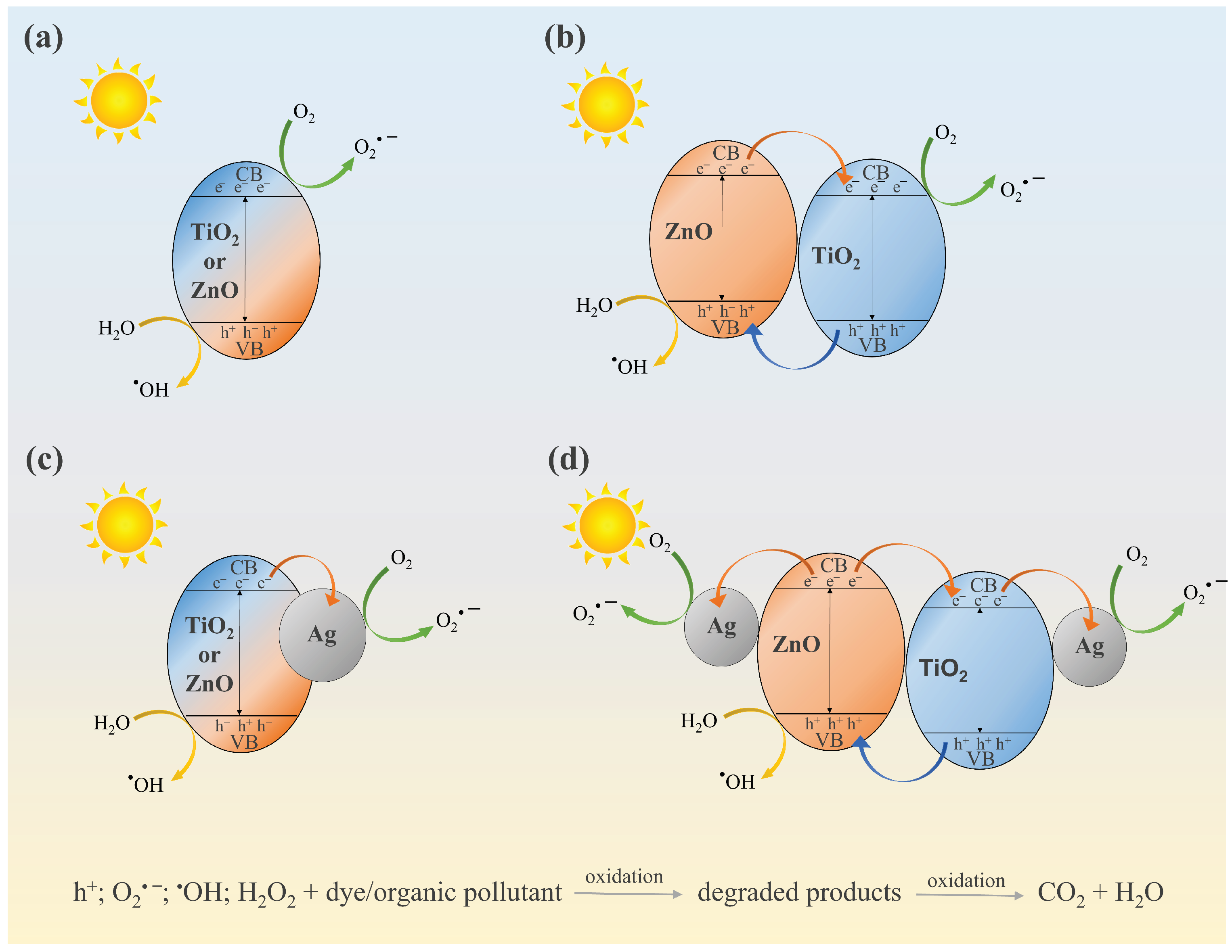 Nanomaterials 12 03140 g010