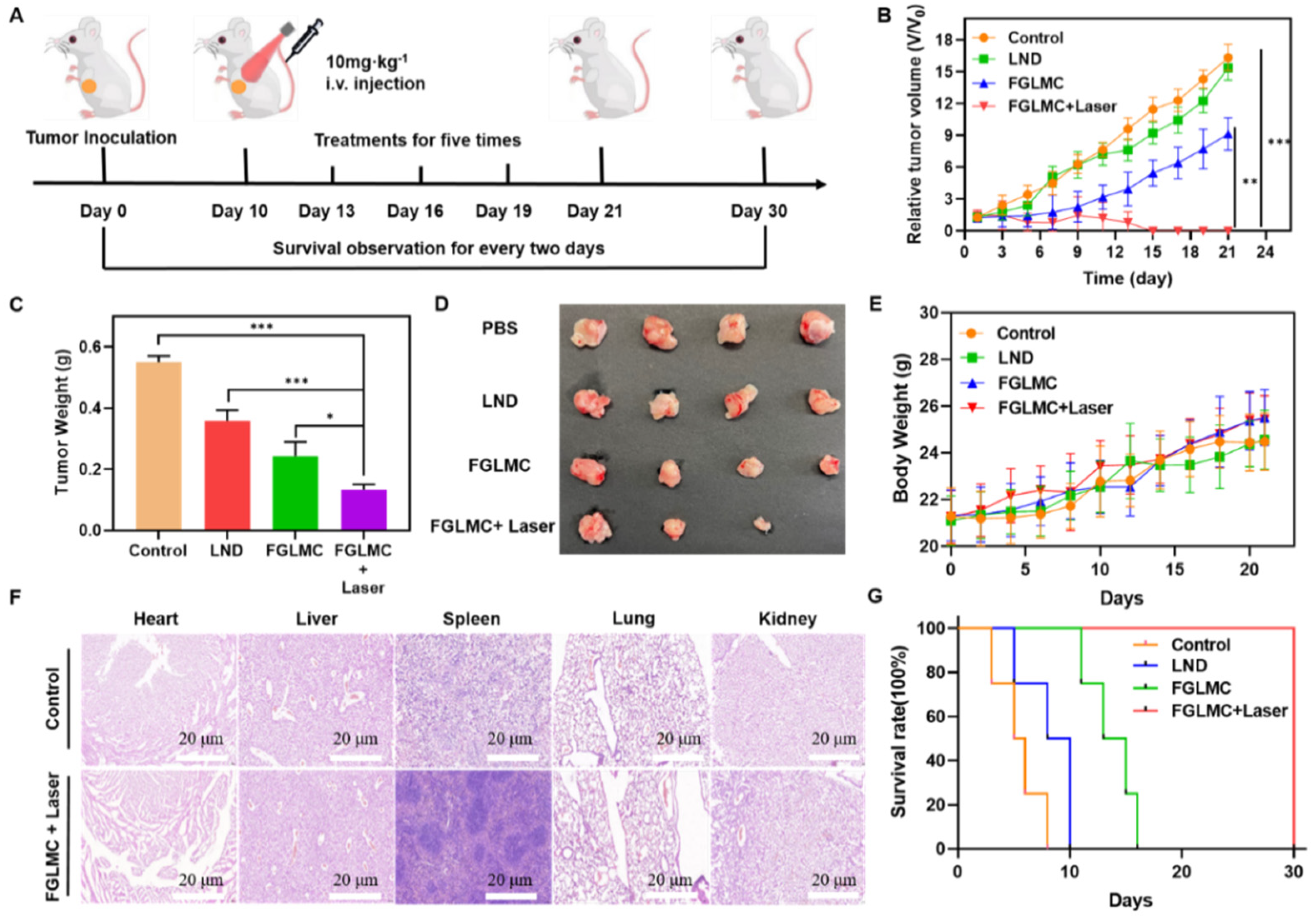 Nanomaterials 12 03150 g006