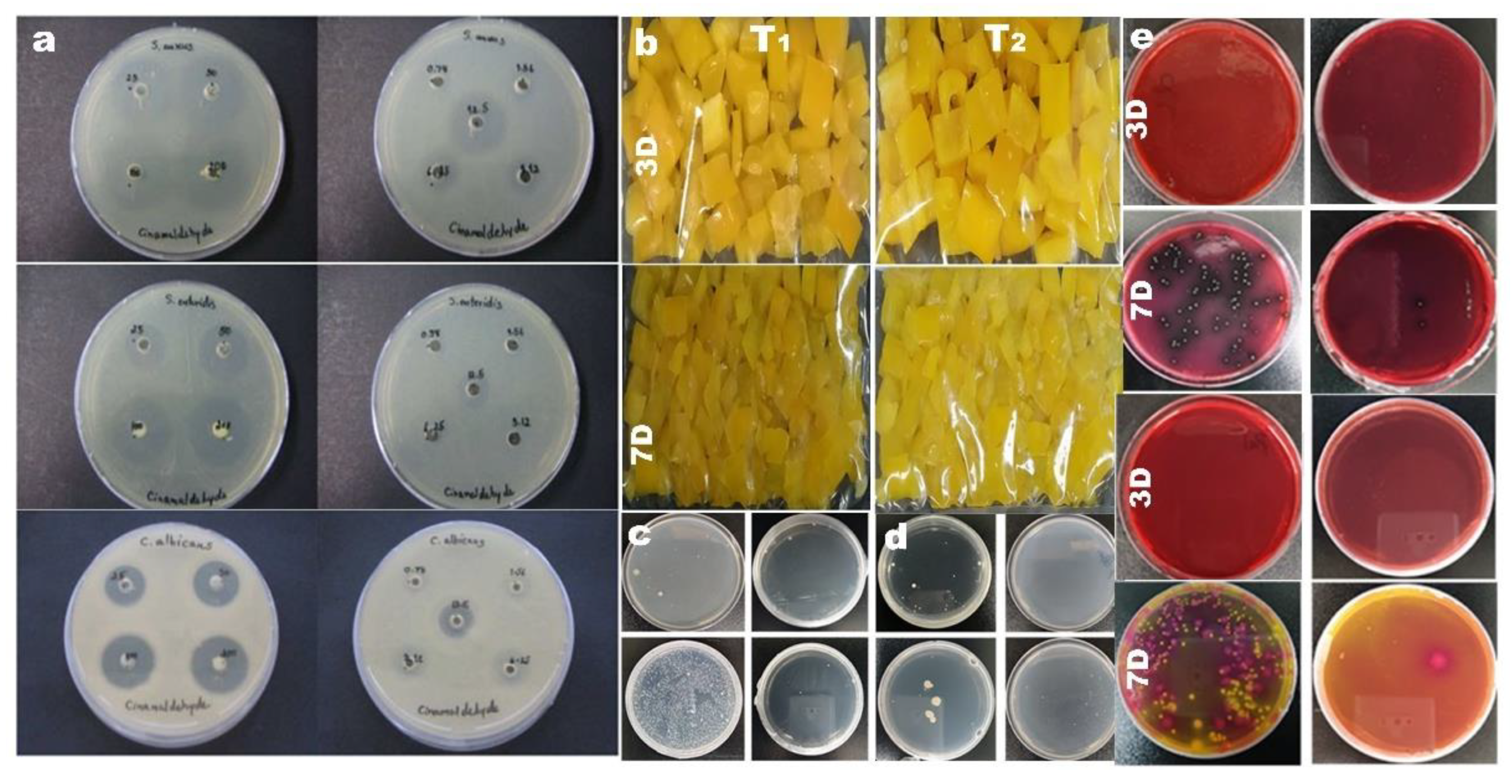 Nanomaterials 12 03158 g008