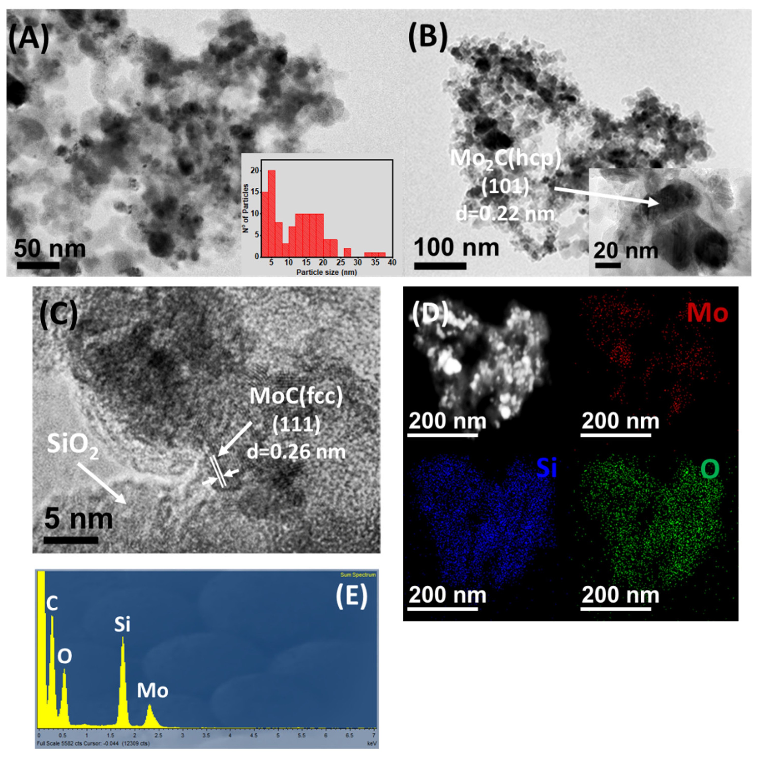 Nanomaterials 12 03165 g005