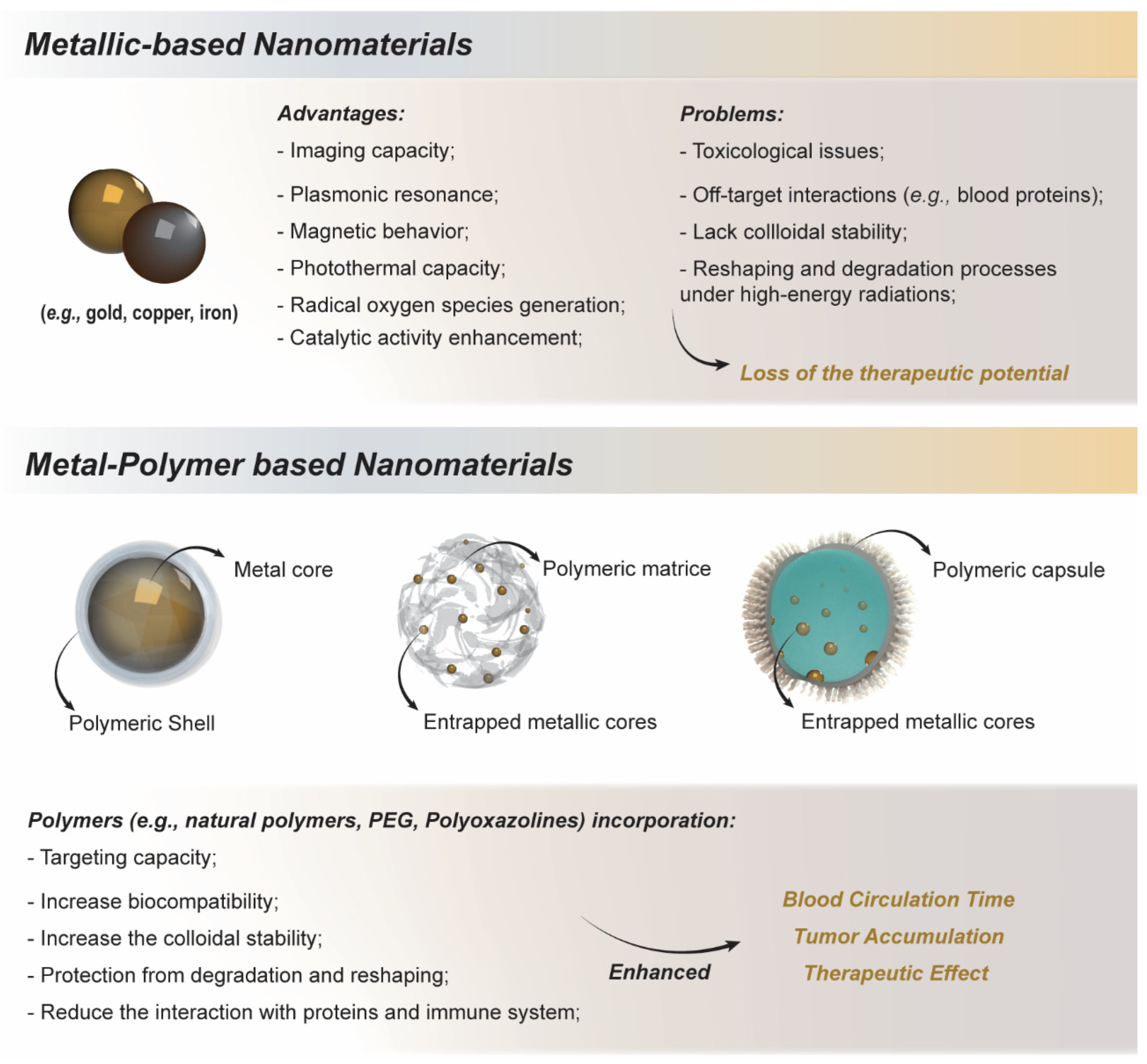 Nanomaterials 12 03166 g001