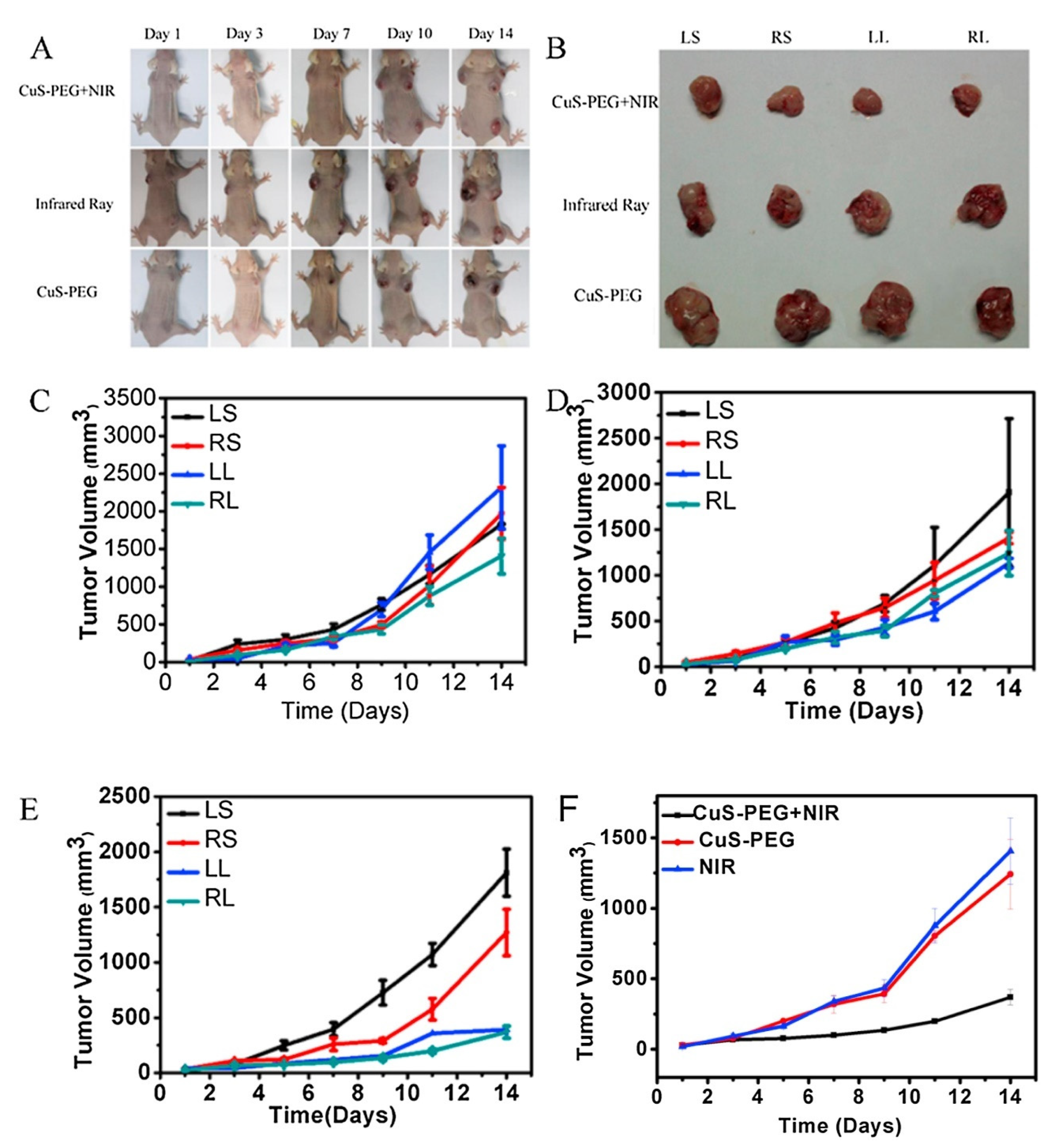 Nanomaterials 12 03166 g004