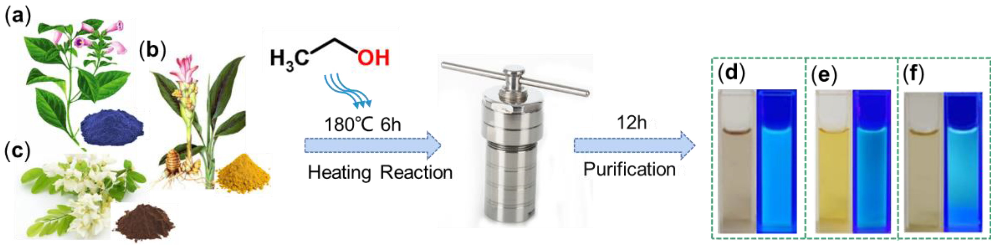 Nanomaterials 12 03168 g001