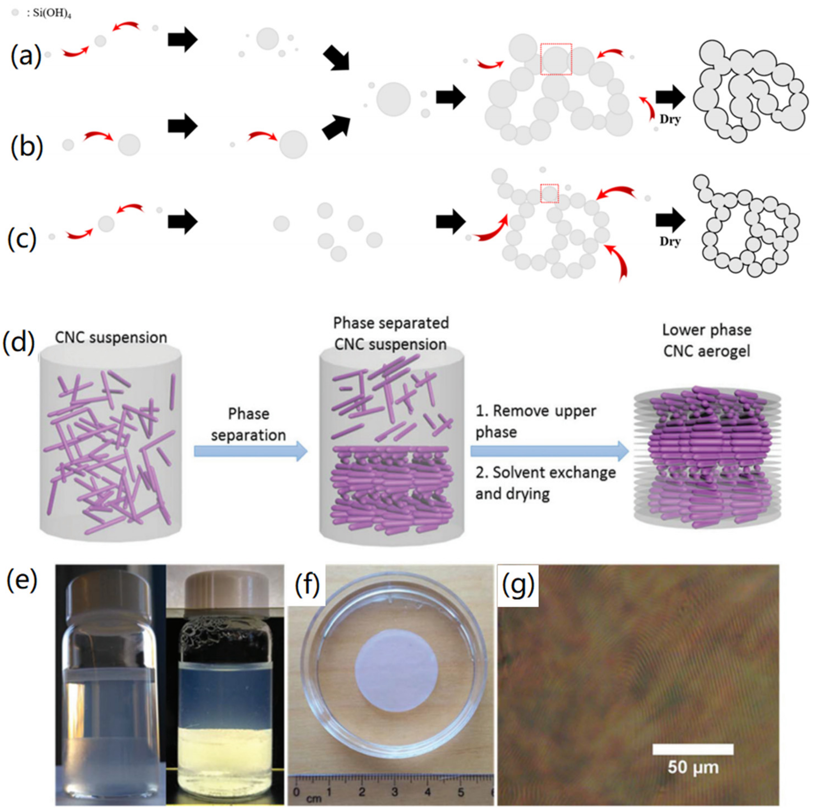 Nanomaterials 12 03172 g002